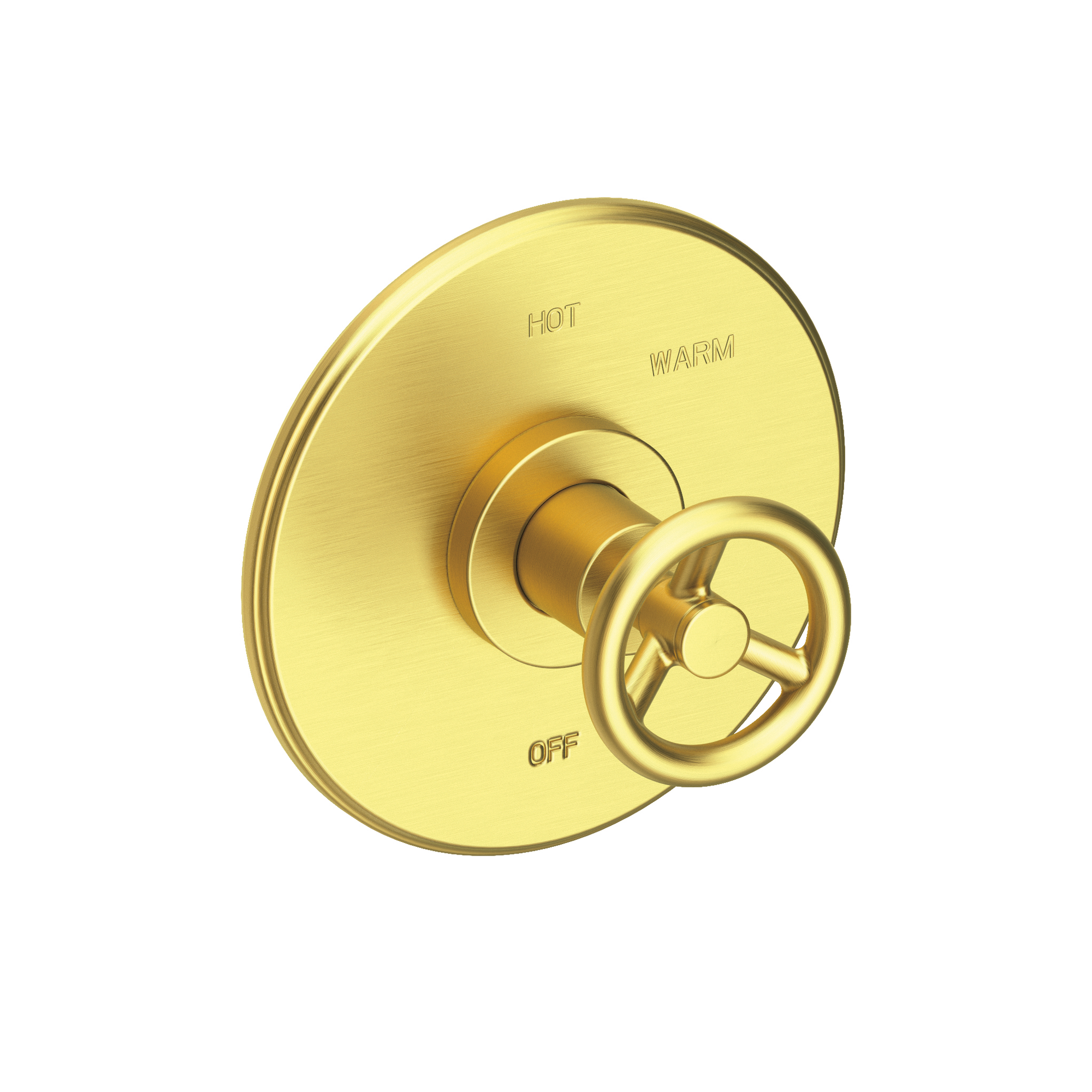 Newport Brass Slater® Balanced Pressure Shower Trim Plate with Handle