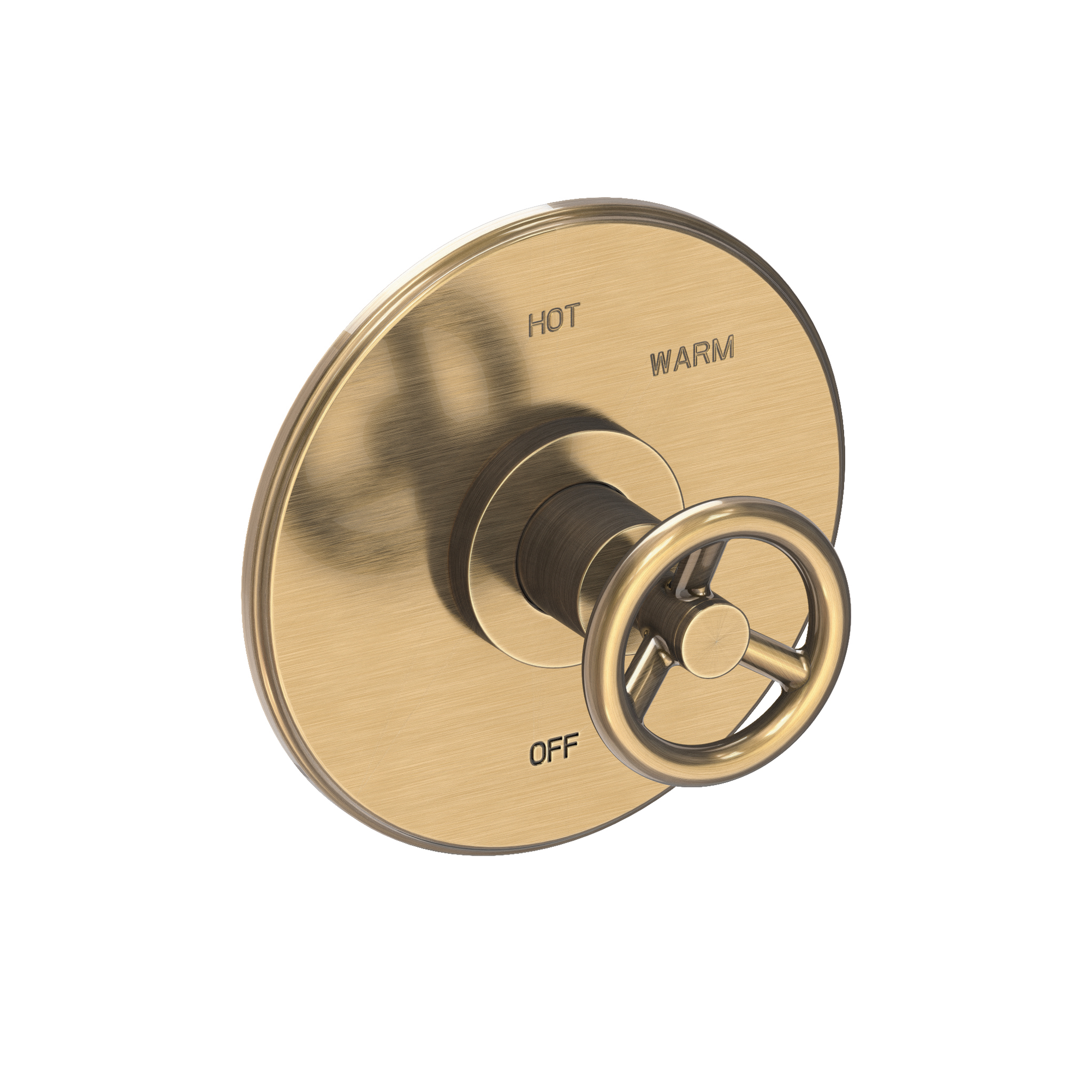 Newport Brass Slater® Balanced Pressure Shower Trim Plate with Handle