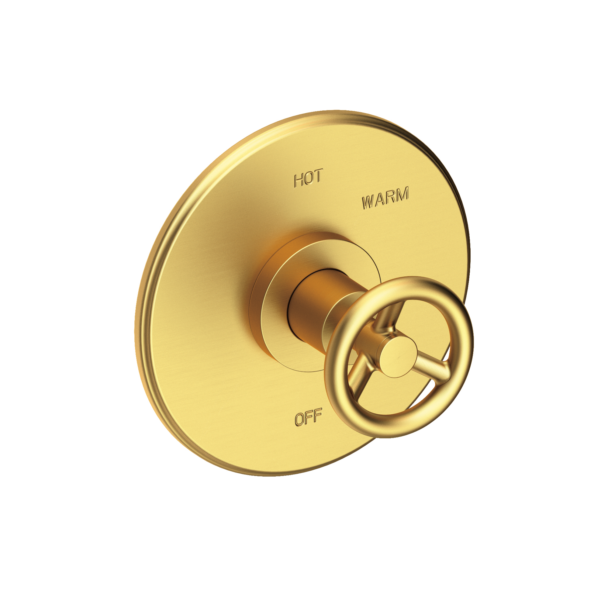 Newport Brass Slater® Balanced Pressure Shower Trim Plate with Handle