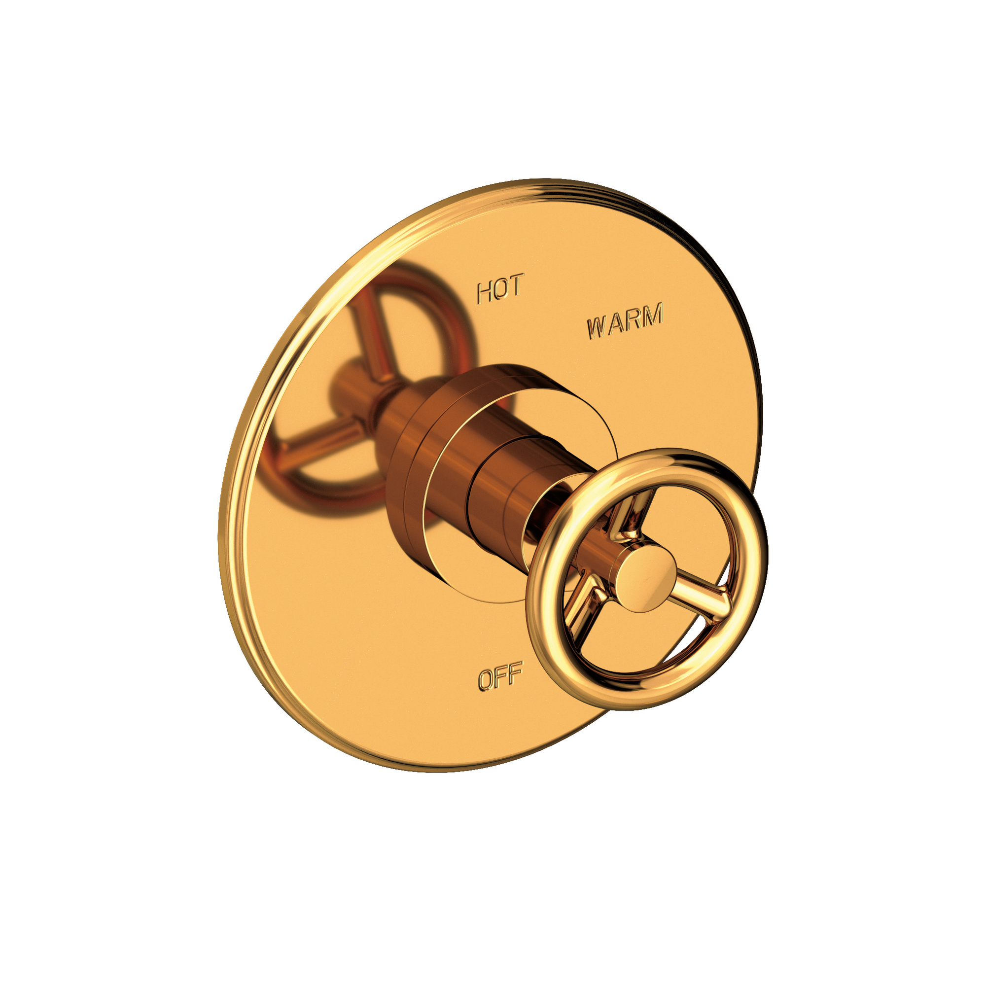 Newport Brass Slater® Balanced Pressure Shower Trim Plate with Handle