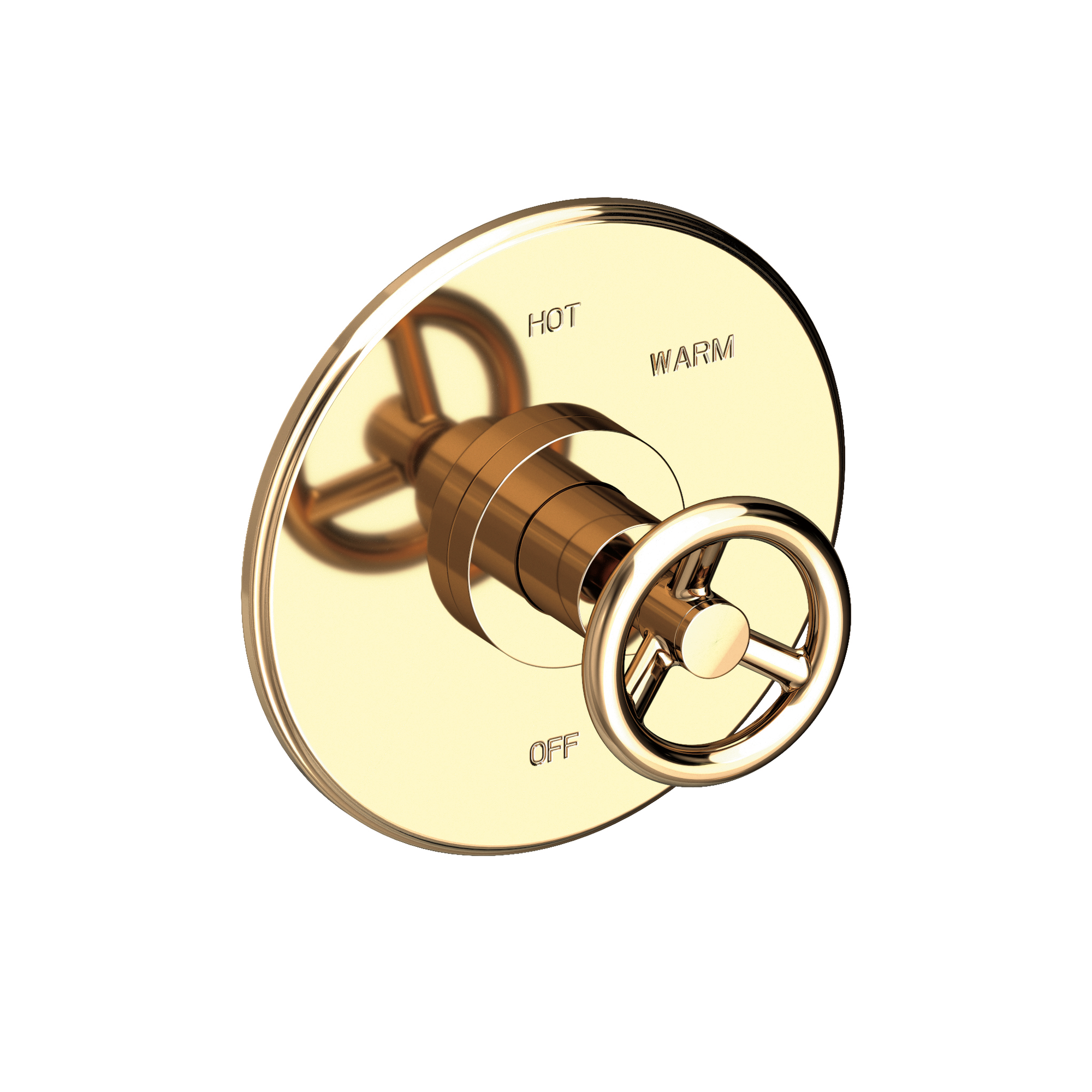 Newport Brass Slater® Balanced Pressure Shower Trim Plate with Handle