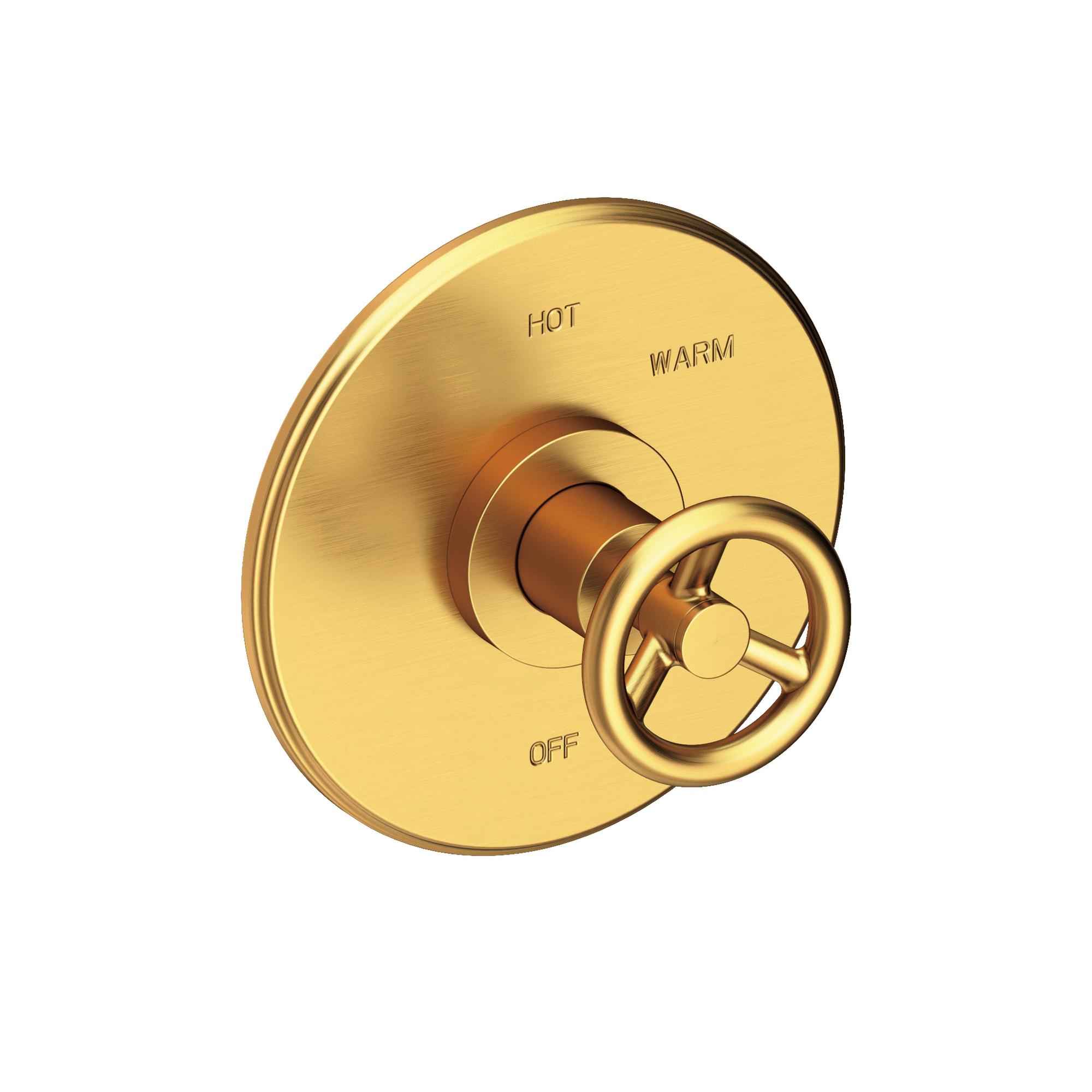 Newport Brass Slater® Balanced Pressure Shower Trim Plate with Handle