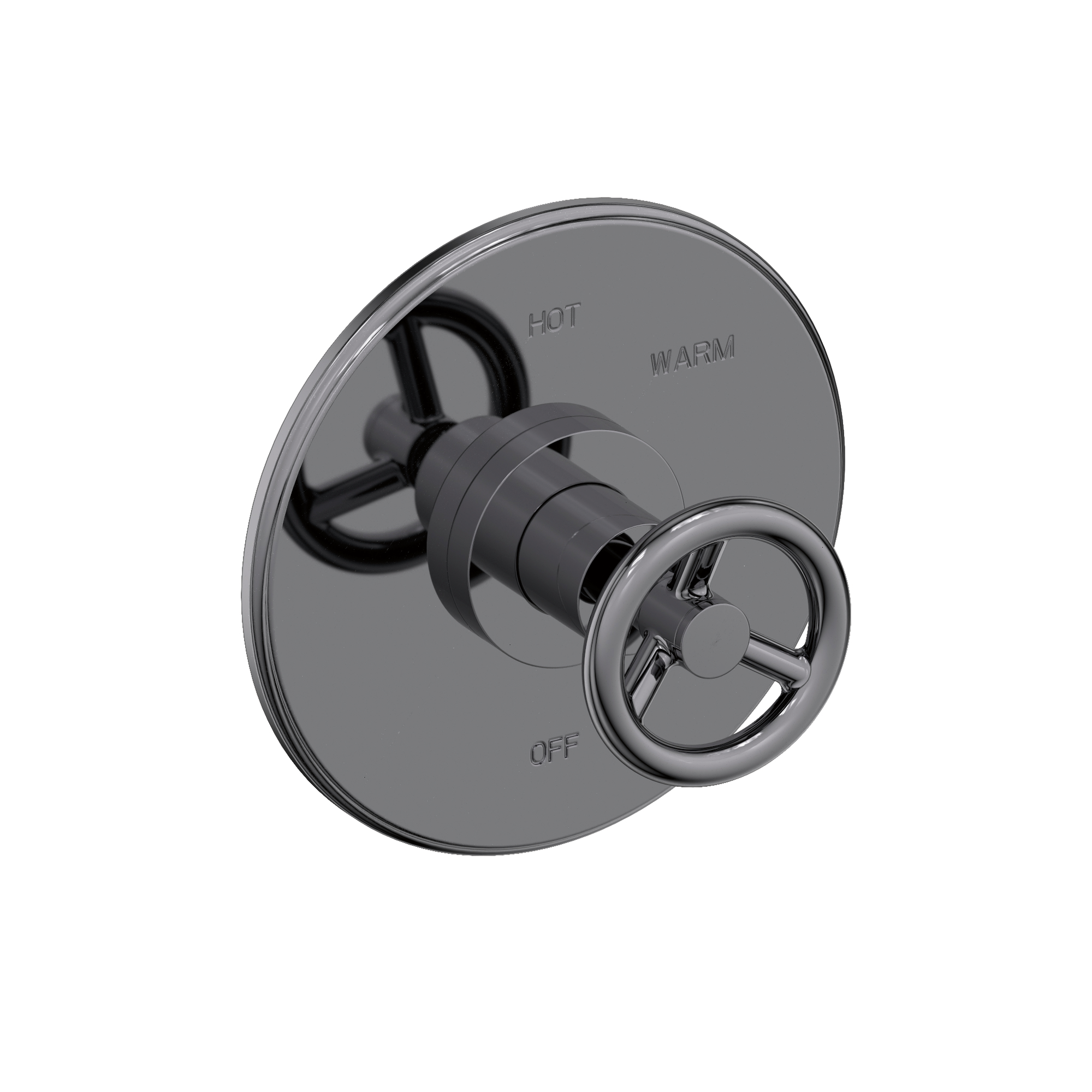 Newport Brass Slater® Balanced Pressure Shower Trim Plate with Handle