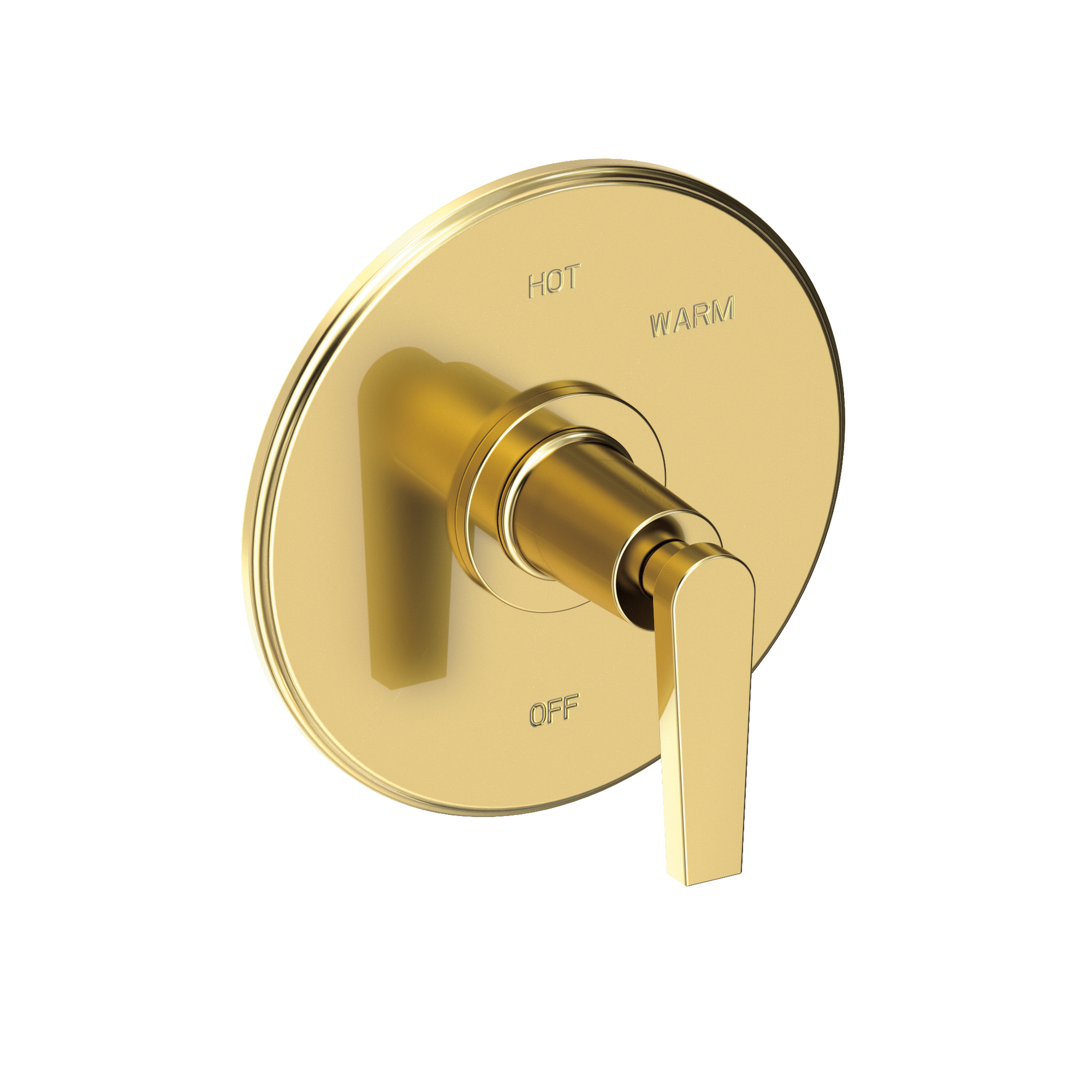 Newport Brass Dorrance® Balanced Pressure Shower Trim Plate with Handle