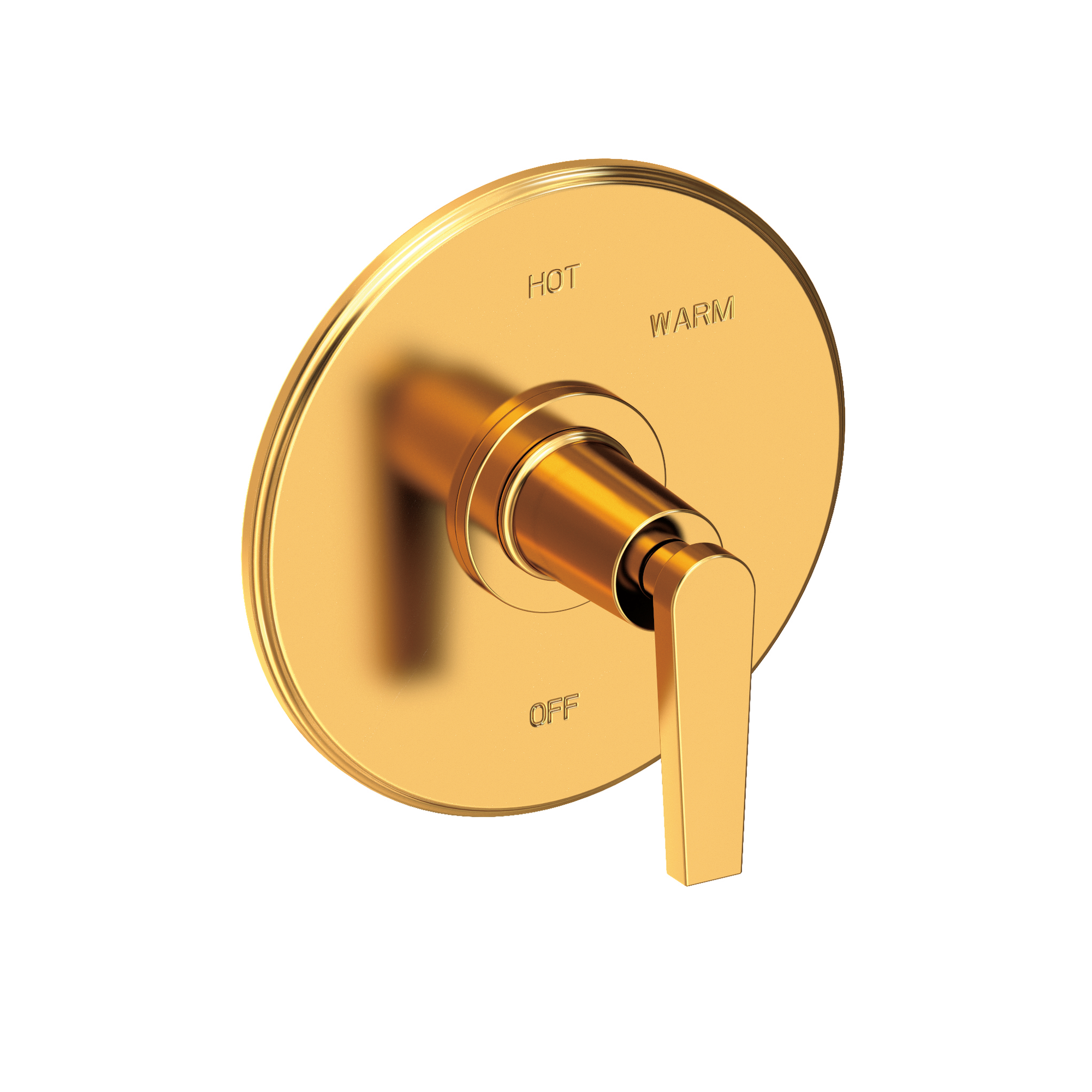 Newport Brass Dorrance® Balanced Pressure Shower Trim Plate with Handle