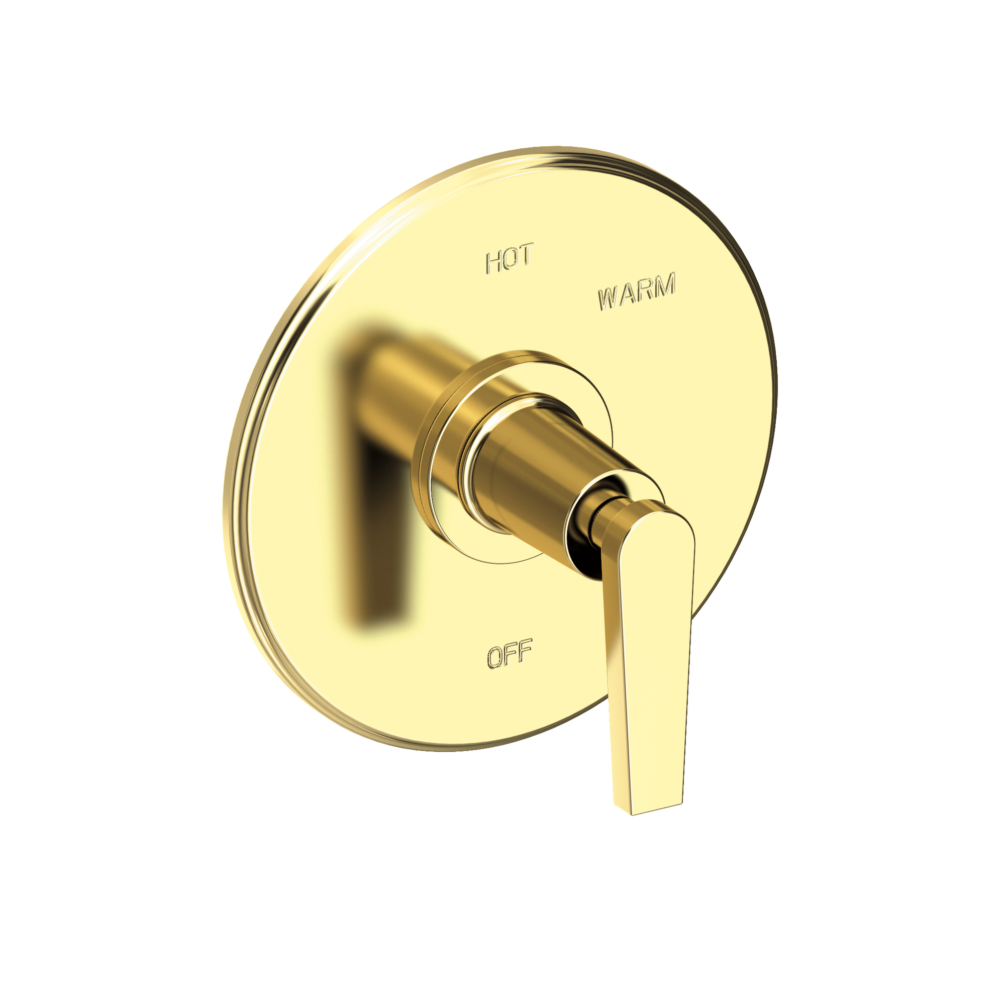 Newport Brass Dorrance® Balanced Pressure Shower Trim Plate with Handle