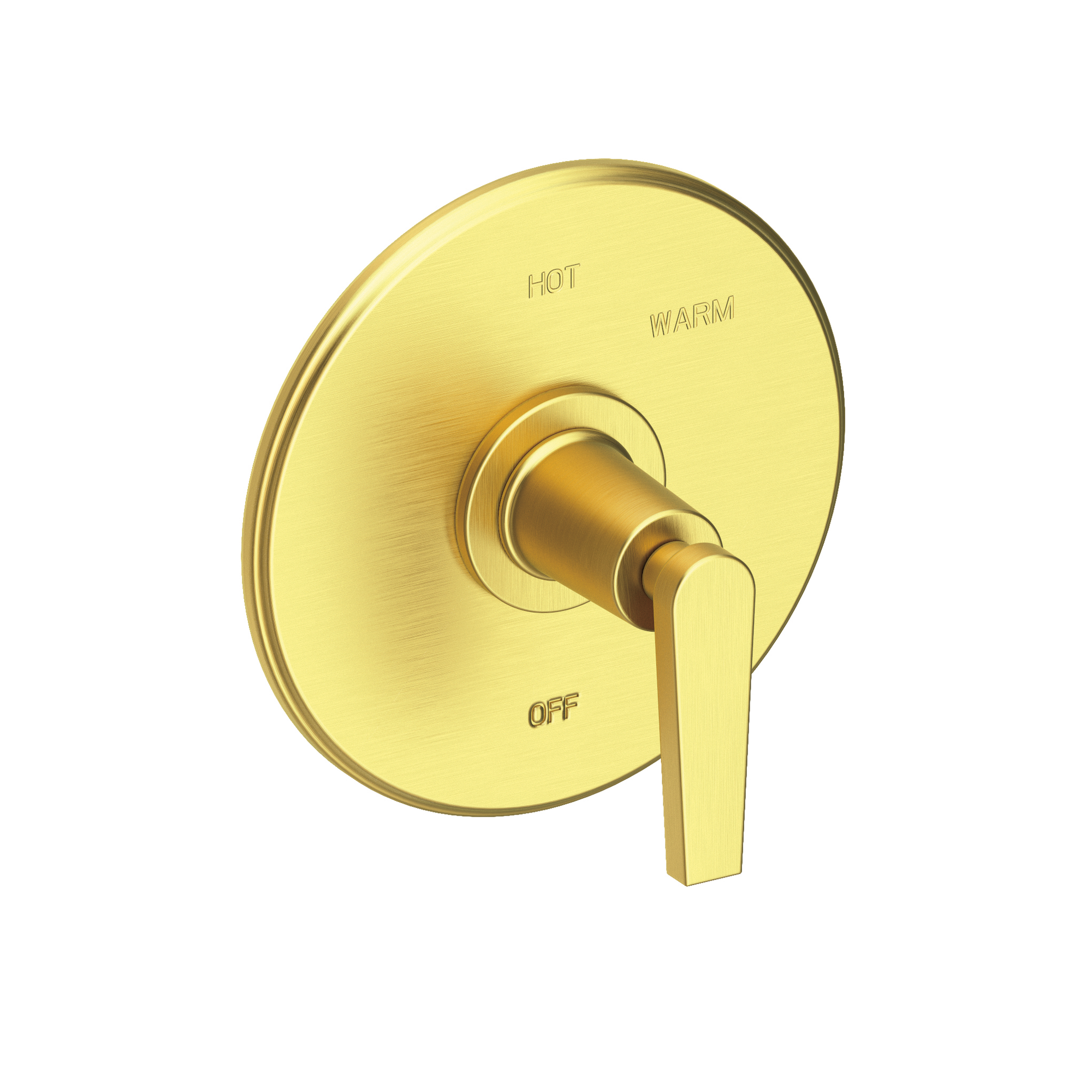 Newport Brass Dorrance® Balanced Pressure Shower Trim Plate with Handle