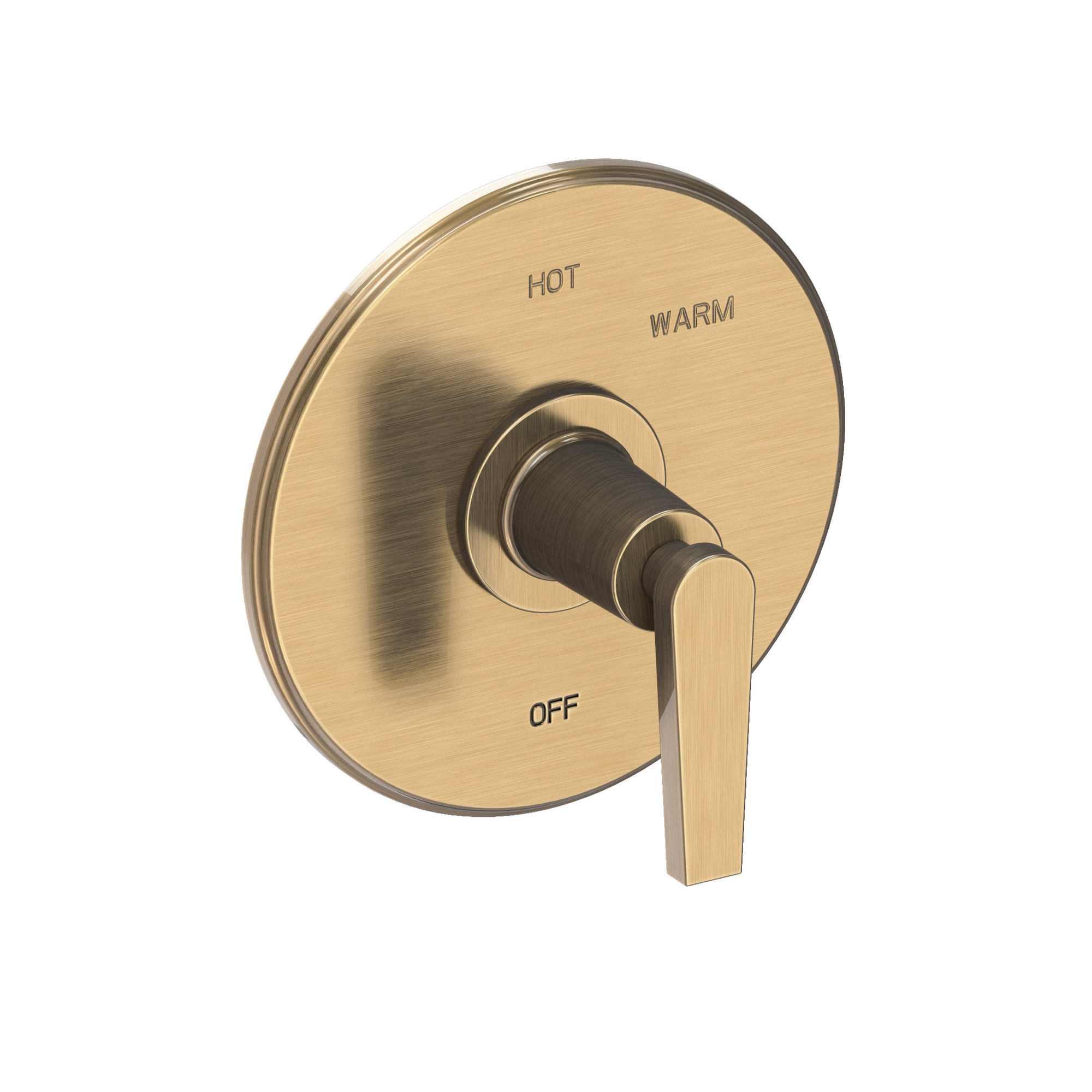 Newport Brass Dorrance® Balanced Pressure Shower Trim Plate with Handle