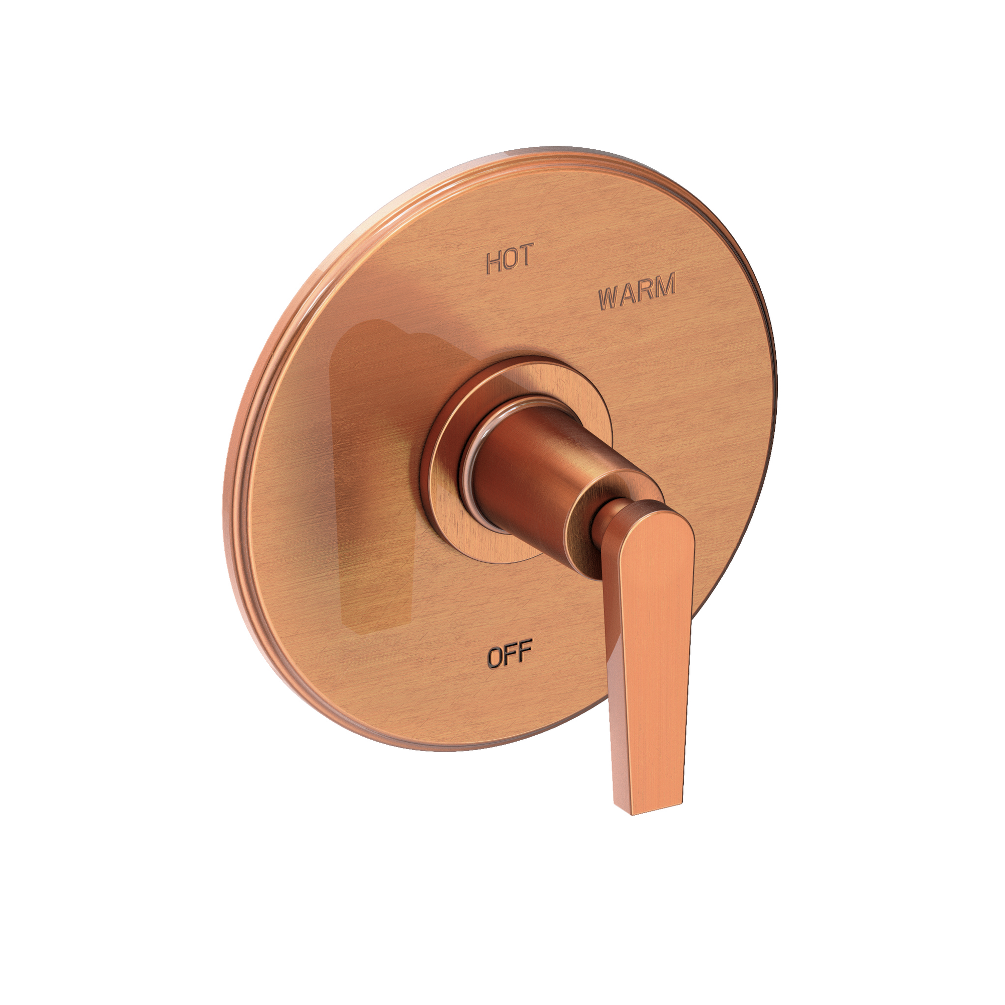 Newport Brass Dorrance® Balanced Pressure Shower Trim Plate with Handle