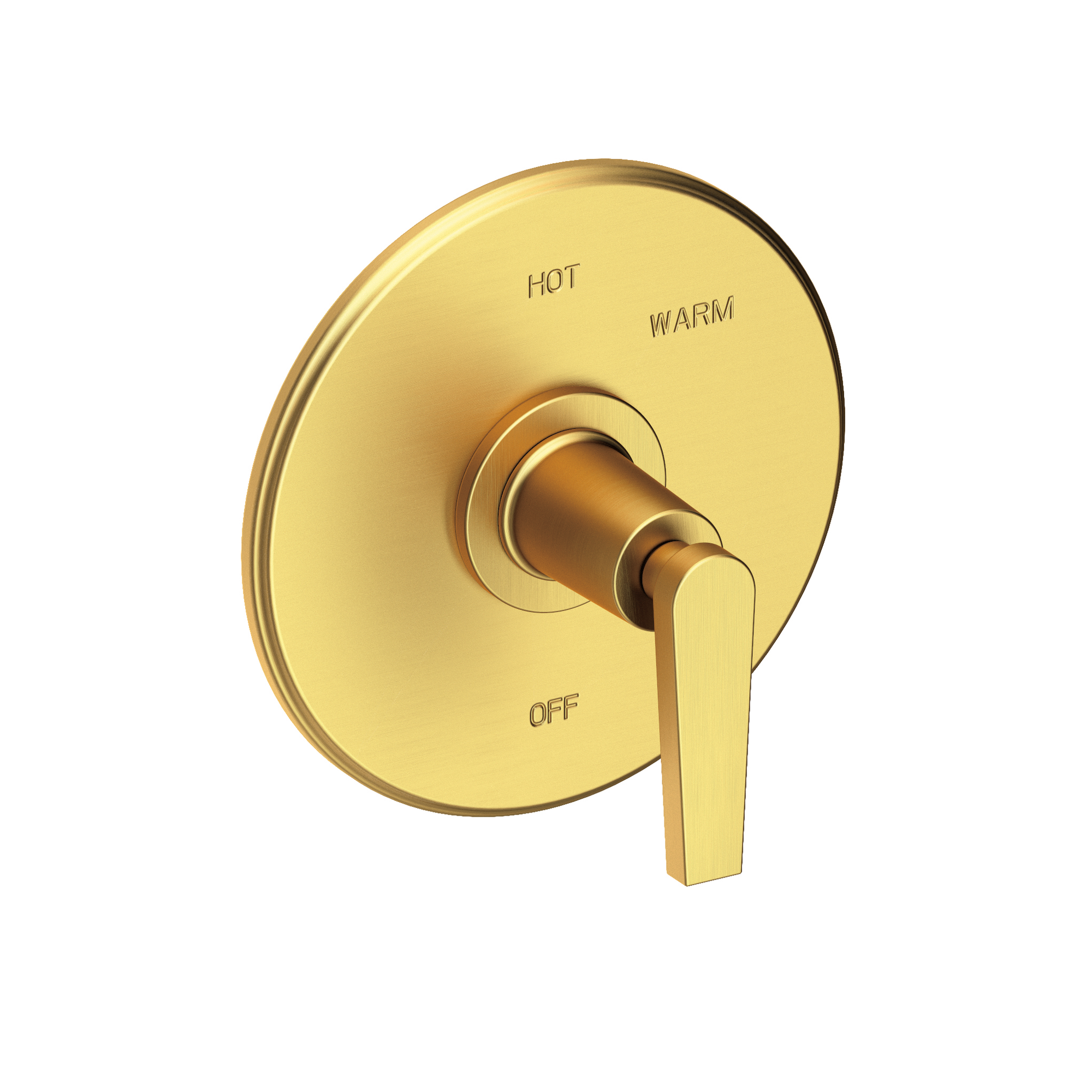 Newport Brass Dorrance® Balanced Pressure Shower Trim Plate with Handle