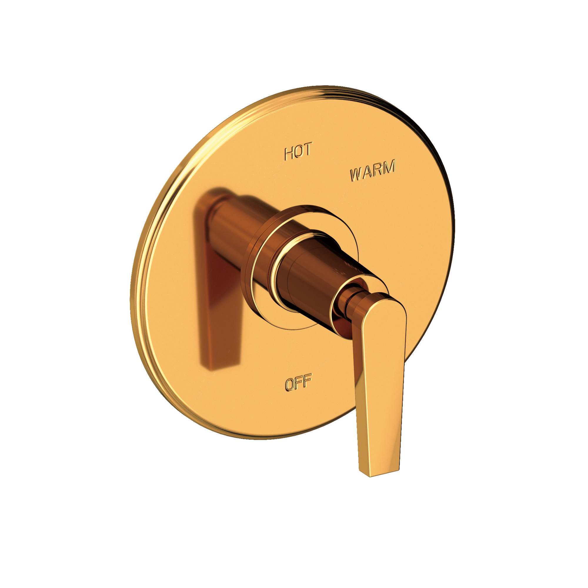 Newport Brass Dorrance® Balanced Pressure Shower Trim Plate with Handle