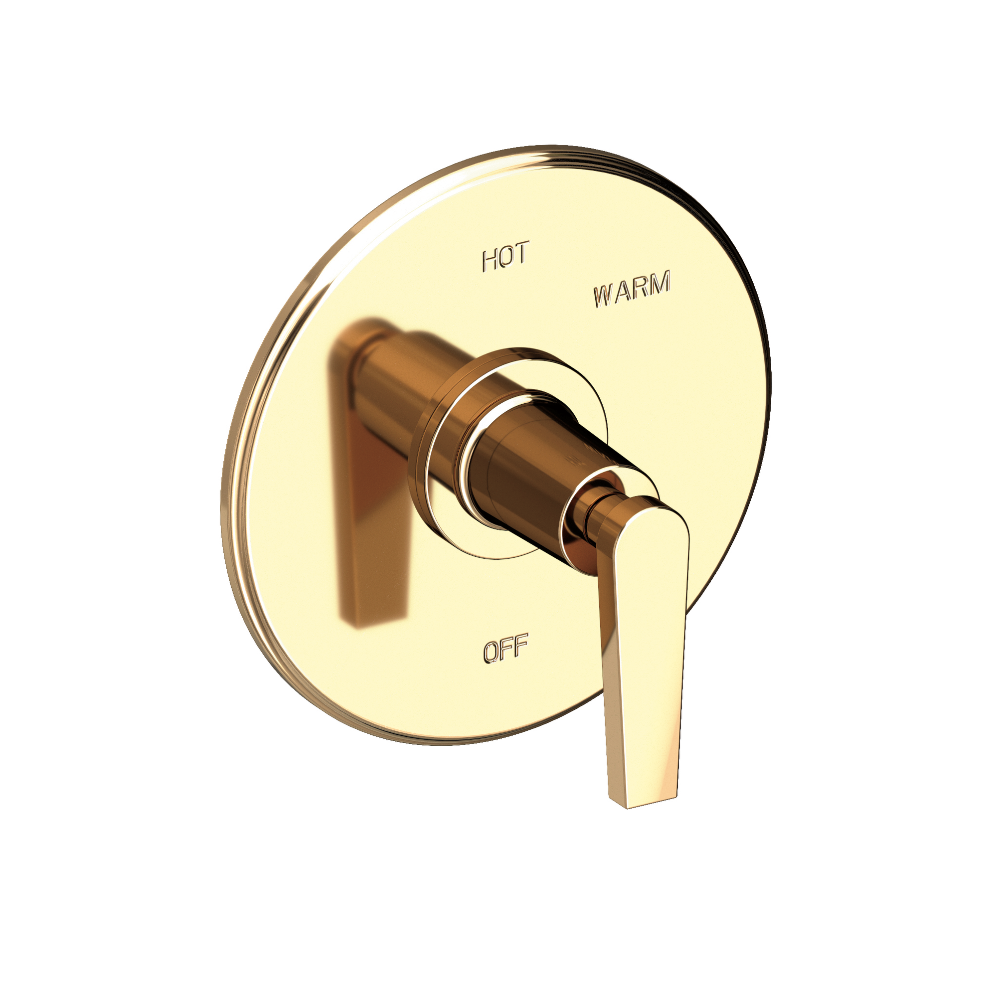 Newport Brass Dorrance® Balanced Pressure Shower Trim Plate with Handle