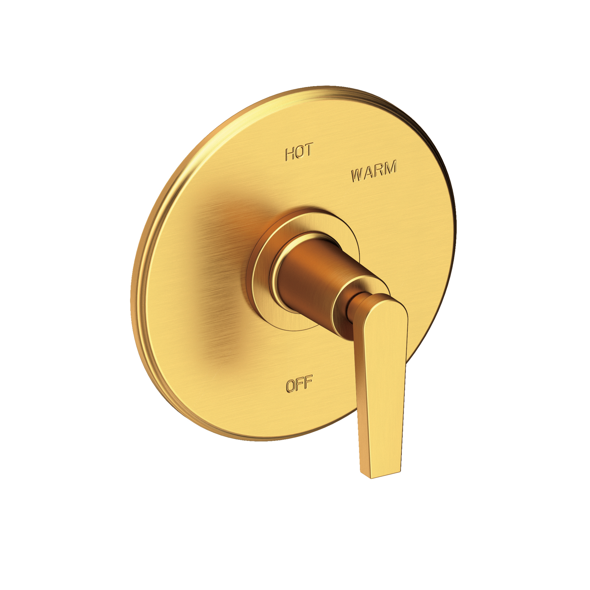 Newport Brass Dorrance® Balanced Pressure Shower Trim Plate with Handle