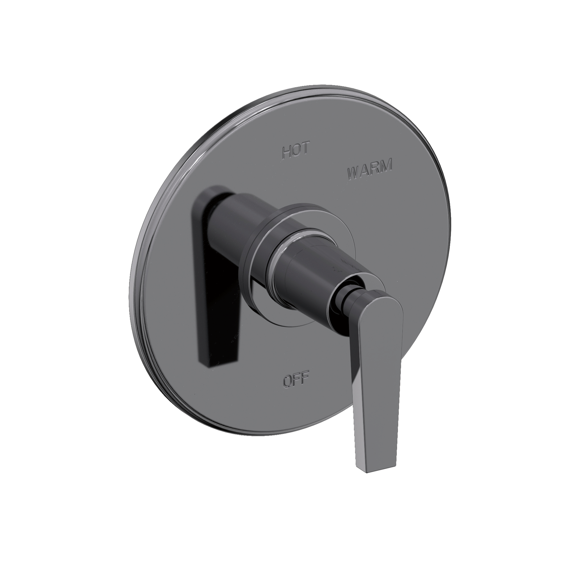 Newport Brass Dorrance® Balanced Pressure Shower Trim Plate with Handle