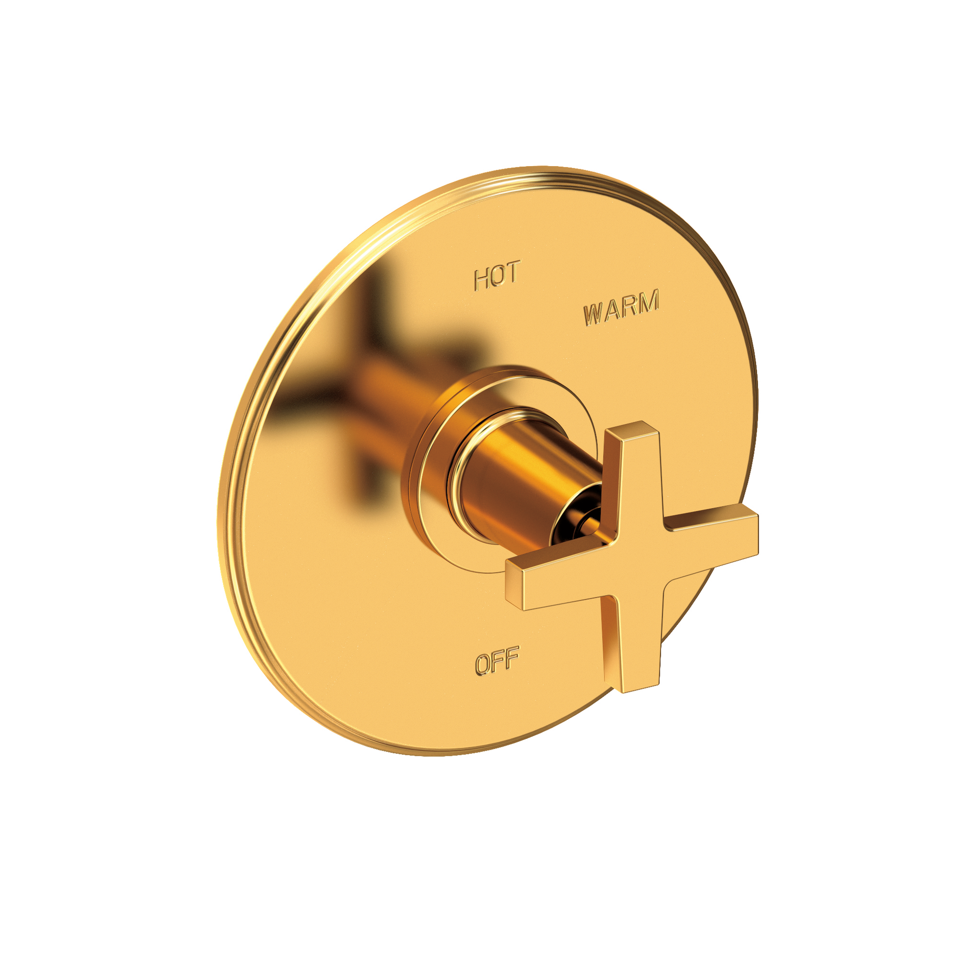 Newport Brass Dorrance® Balanced Pressure Shower Trim Plate with Handle