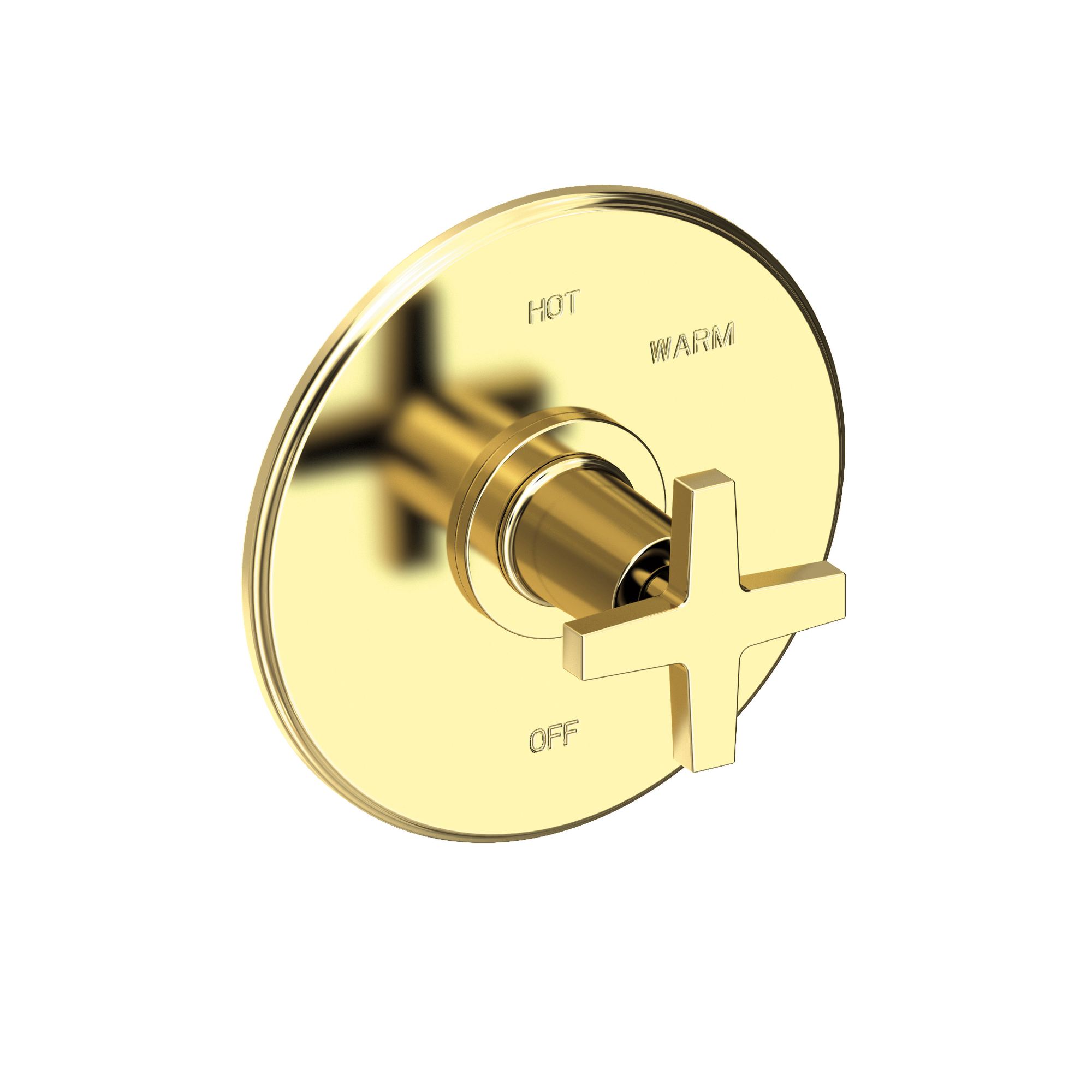 Newport Brass Dorrance® Balanced Pressure Shower Trim Plate with Handle
