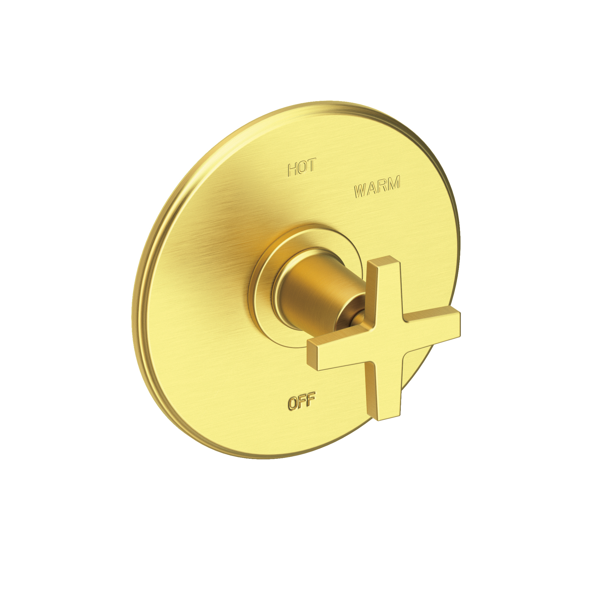 Newport Brass Dorrance® Balanced Pressure Shower Trim Plate with Handle