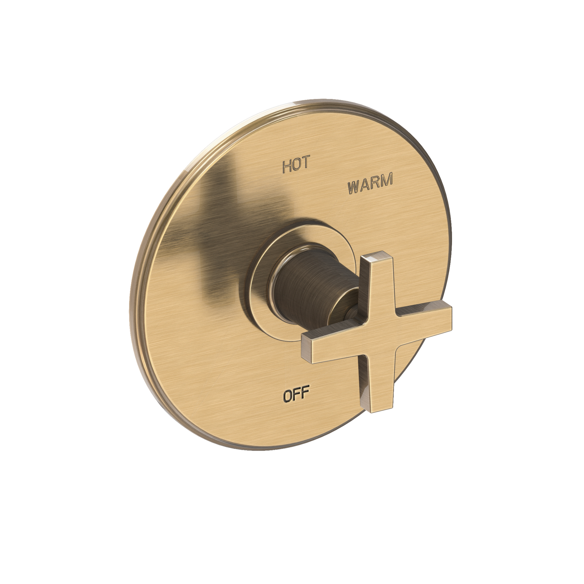 Newport Brass Dorrance® Balanced Pressure Shower Trim Plate with Handle