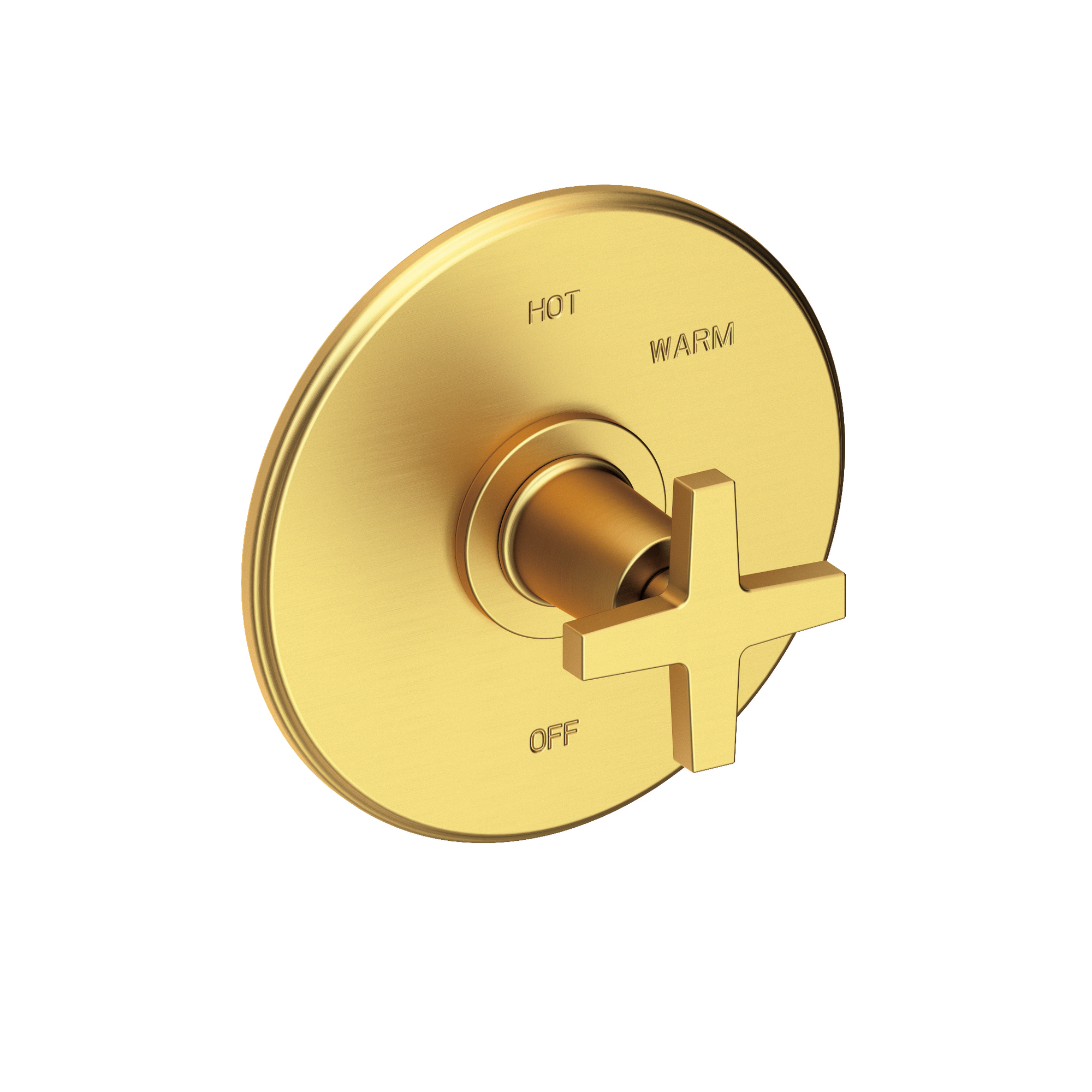 Newport Brass Dorrance® Balanced Pressure Shower Trim Plate with Handle