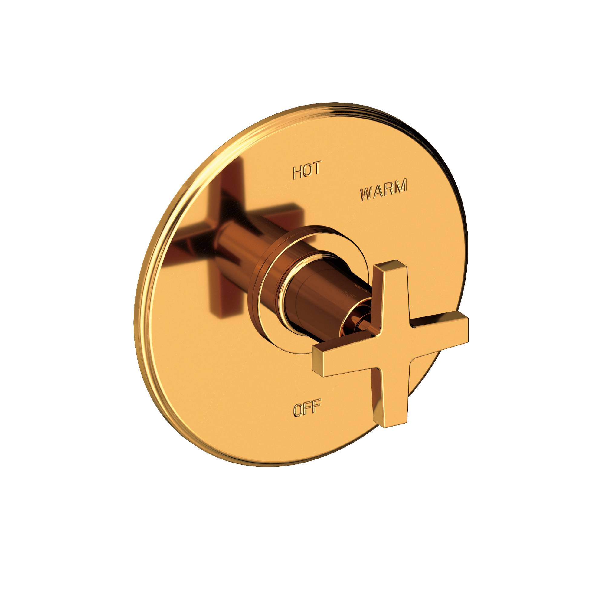 Newport Brass Dorrance® Balanced Pressure Shower Trim Plate with Handle