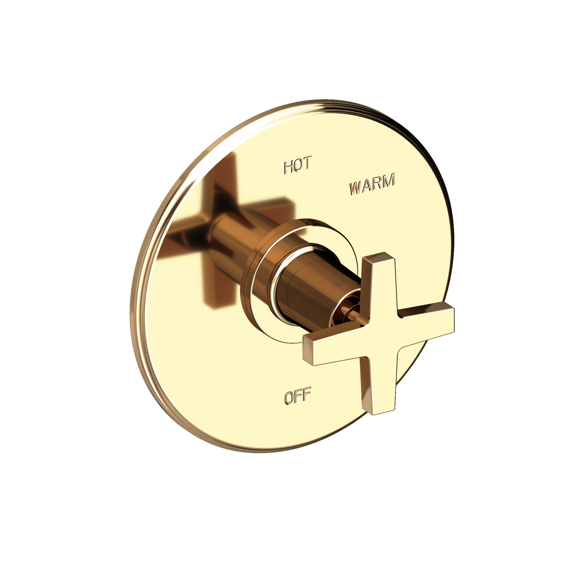Newport Brass Dorrance® Balanced Pressure Shower Trim Plate with Handle