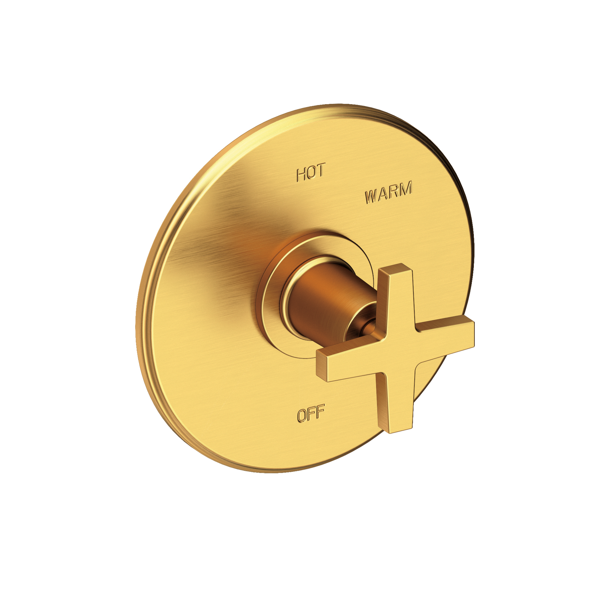 Newport Brass Dorrance® Balanced Pressure Shower Trim Plate with Handle