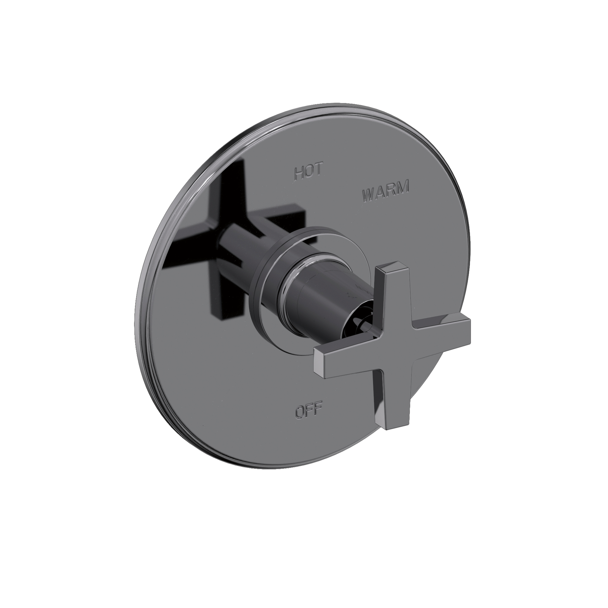 Newport Brass Dorrance® Balanced Pressure Shower Trim Plate with Handle