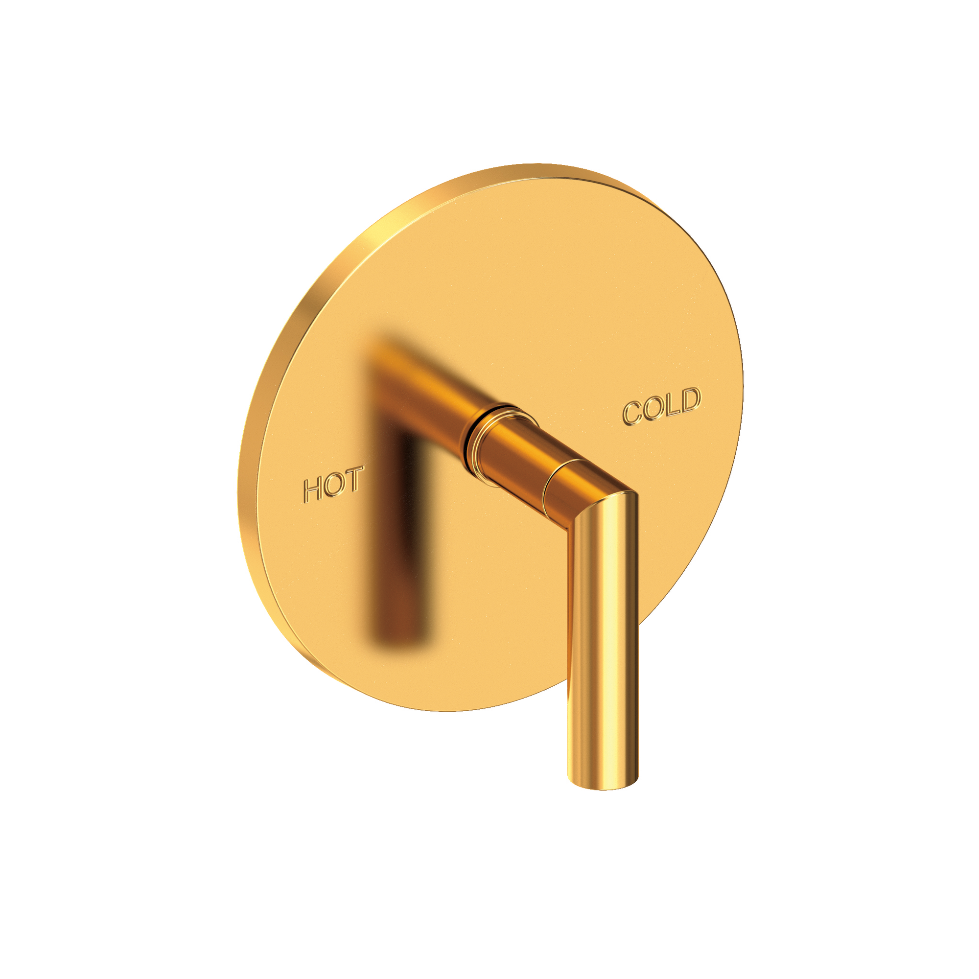 Newport Brass Pavani Balanced Pressure Shower Trim Plate with Handle