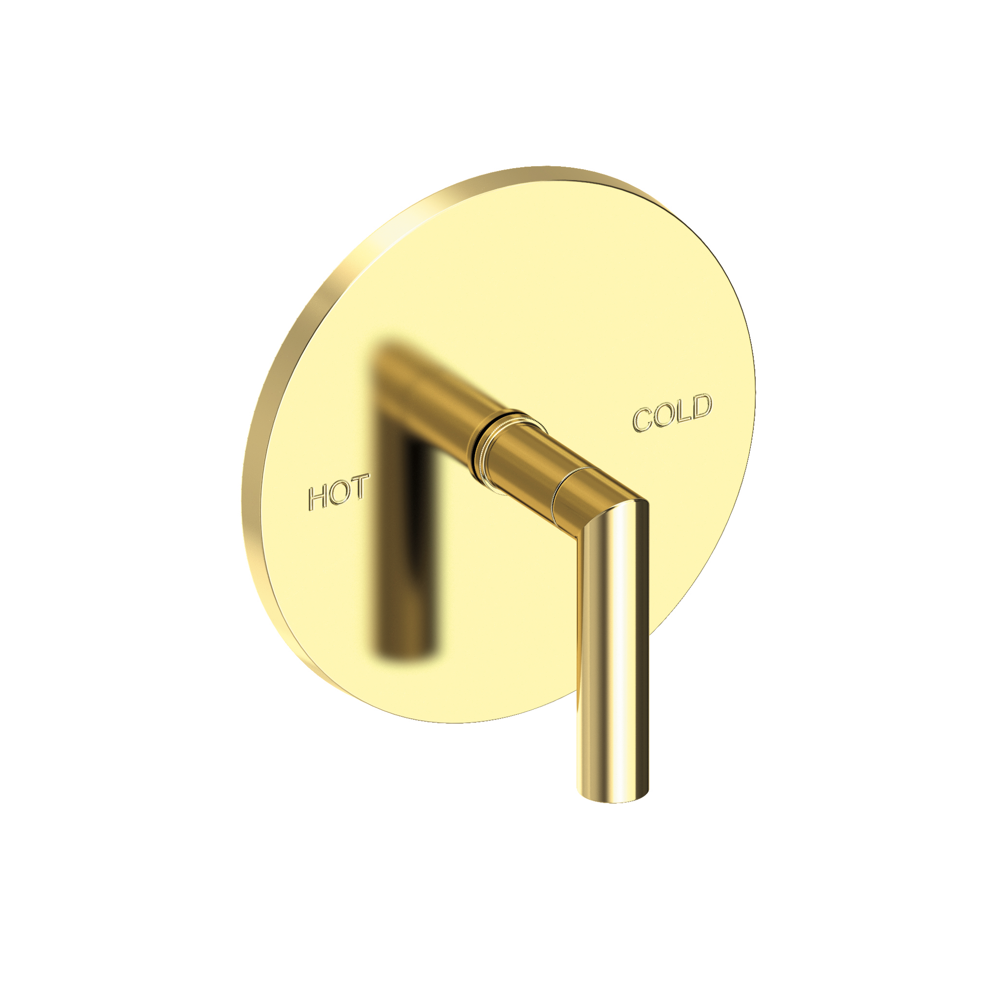 Newport Brass Pavani Balanced Pressure Shower Trim Plate with Handle