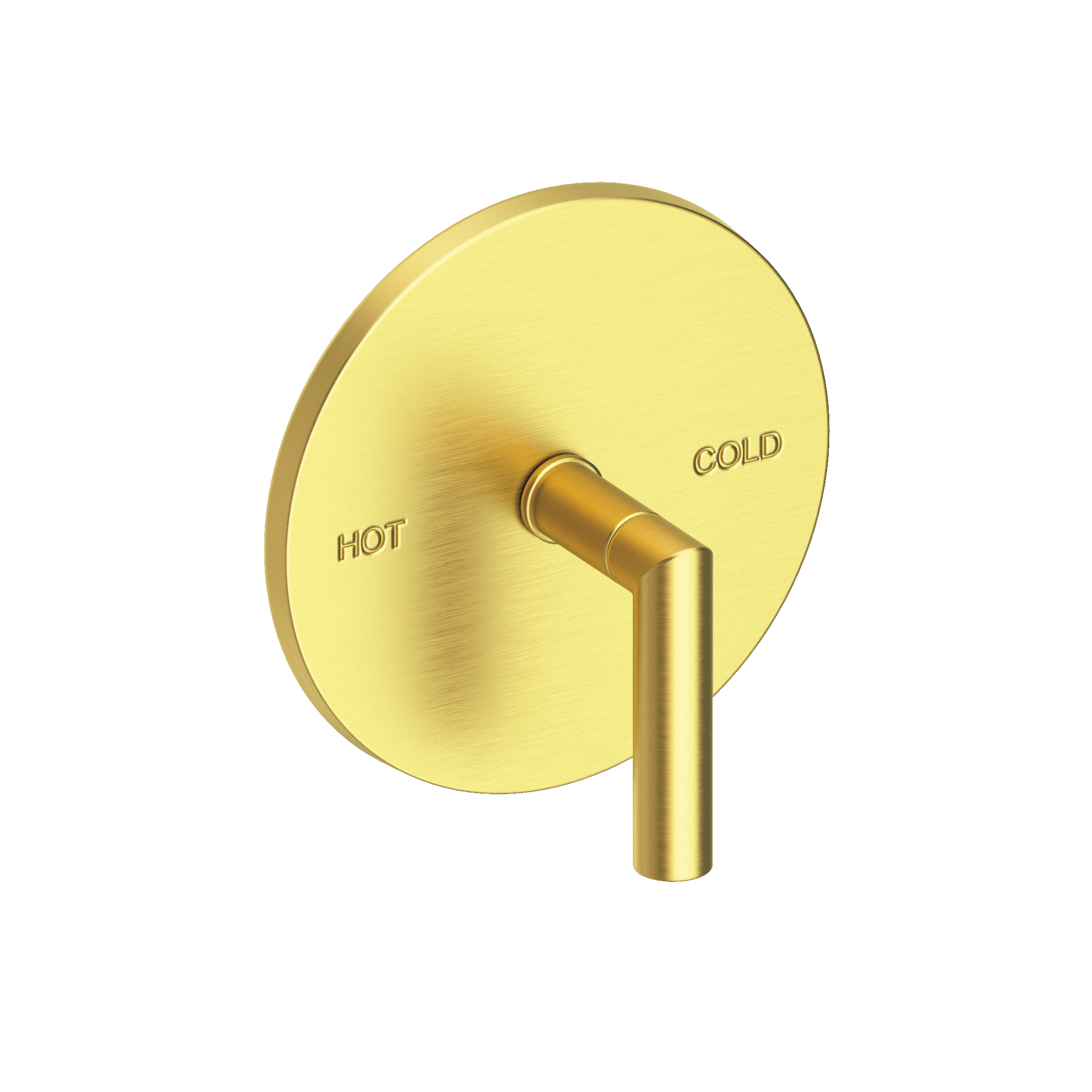 Newport Brass Pavani Balanced Pressure Shower Trim Plate with Handle