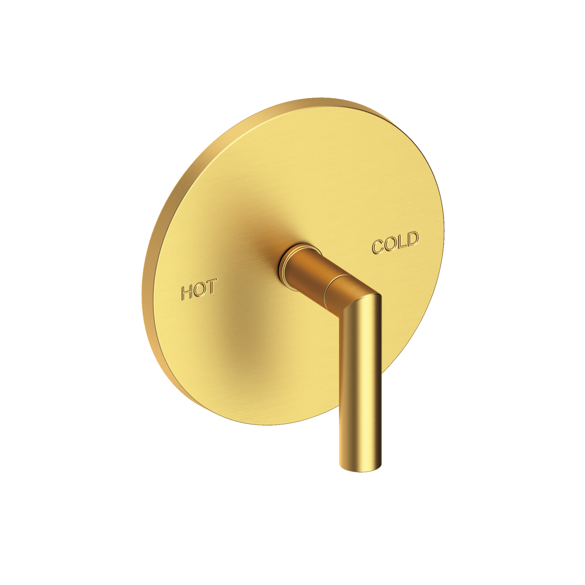 Newport Brass Pavani Balanced Pressure Shower Trim Plate with Handle