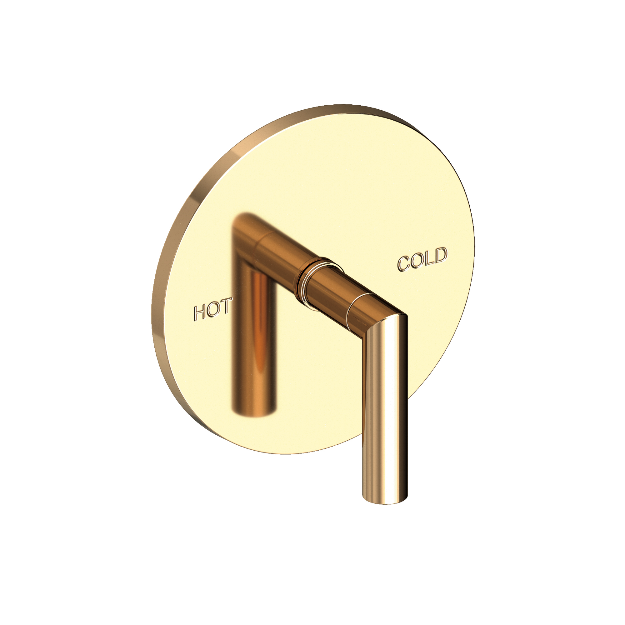 Newport Brass Pavani Balanced Pressure Shower Trim Plate with Handle