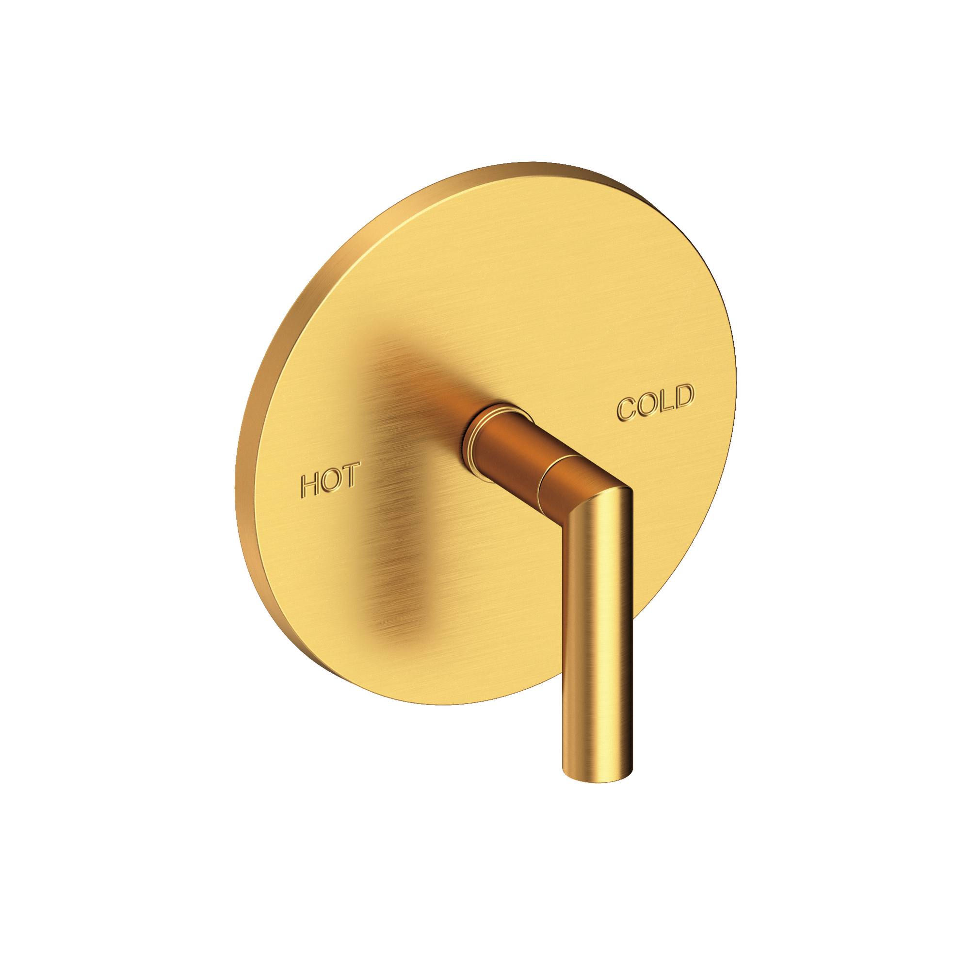Newport Brass Pavani Balanced Pressure Shower Trim Plate with Handle