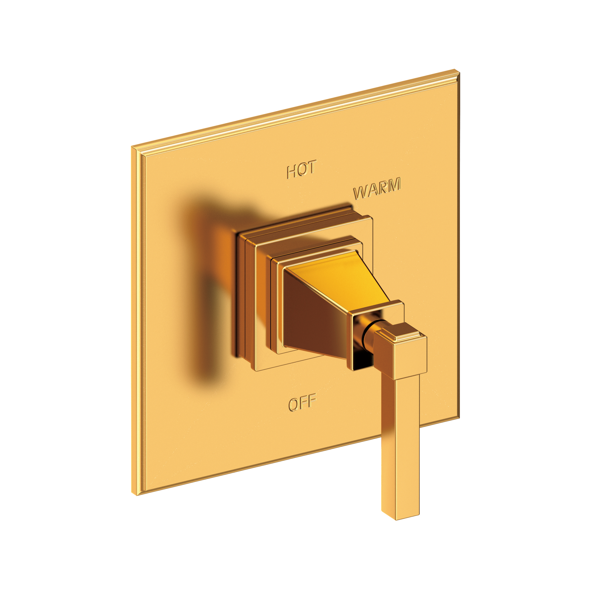 Newport Brass Malvina® Balanced Pressure Shower Trim Plate with Handle
