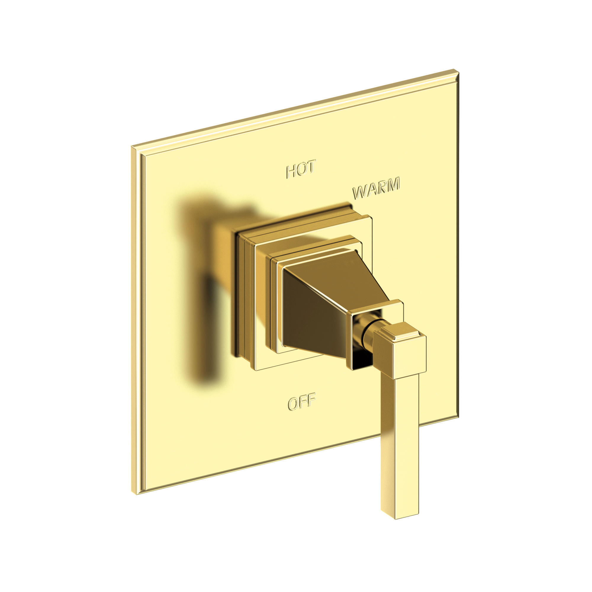 Newport Brass Malvina® Balanced Pressure Shower Trim Plate with Handle