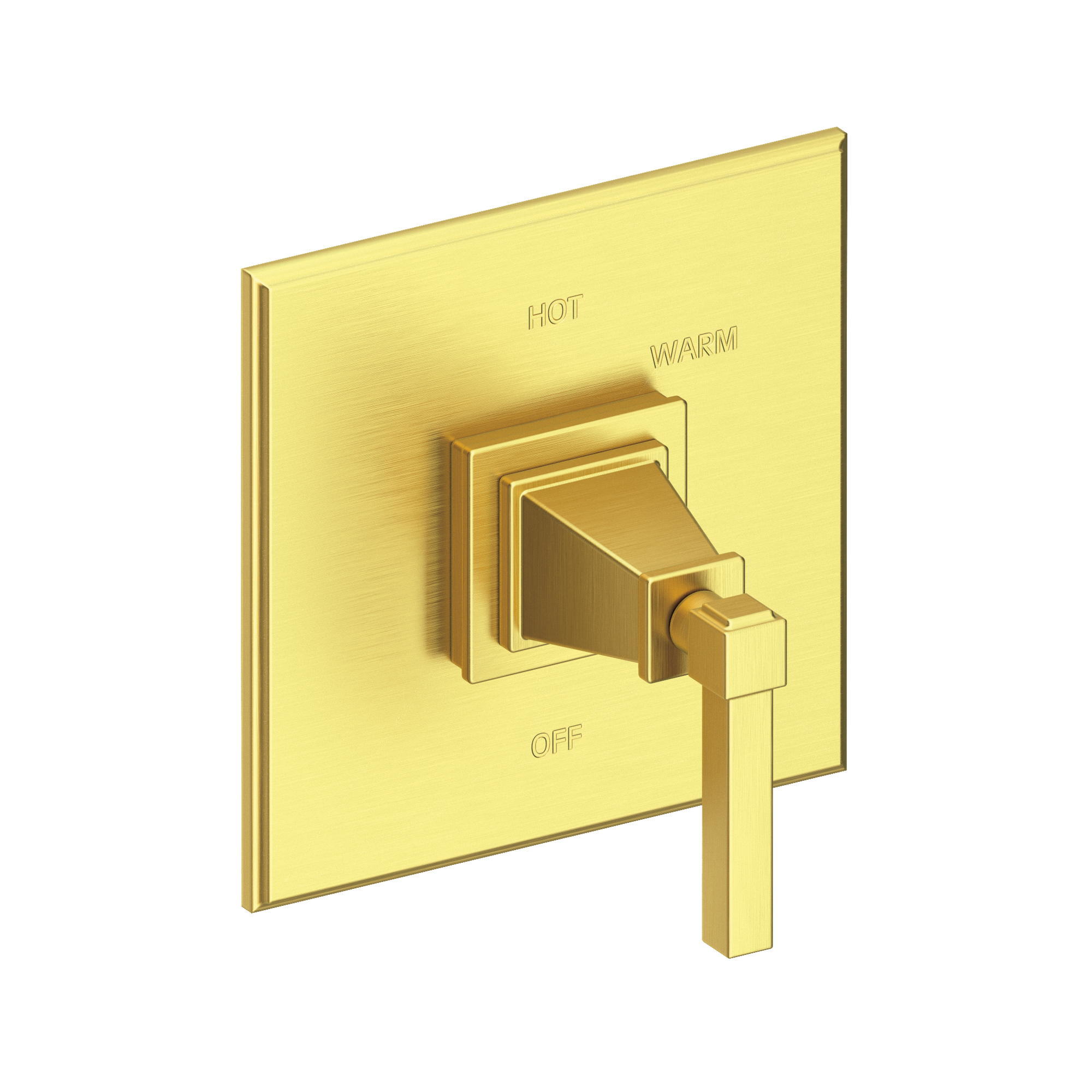 Newport Brass Malvina® Balanced Pressure Shower Trim Plate with Handle