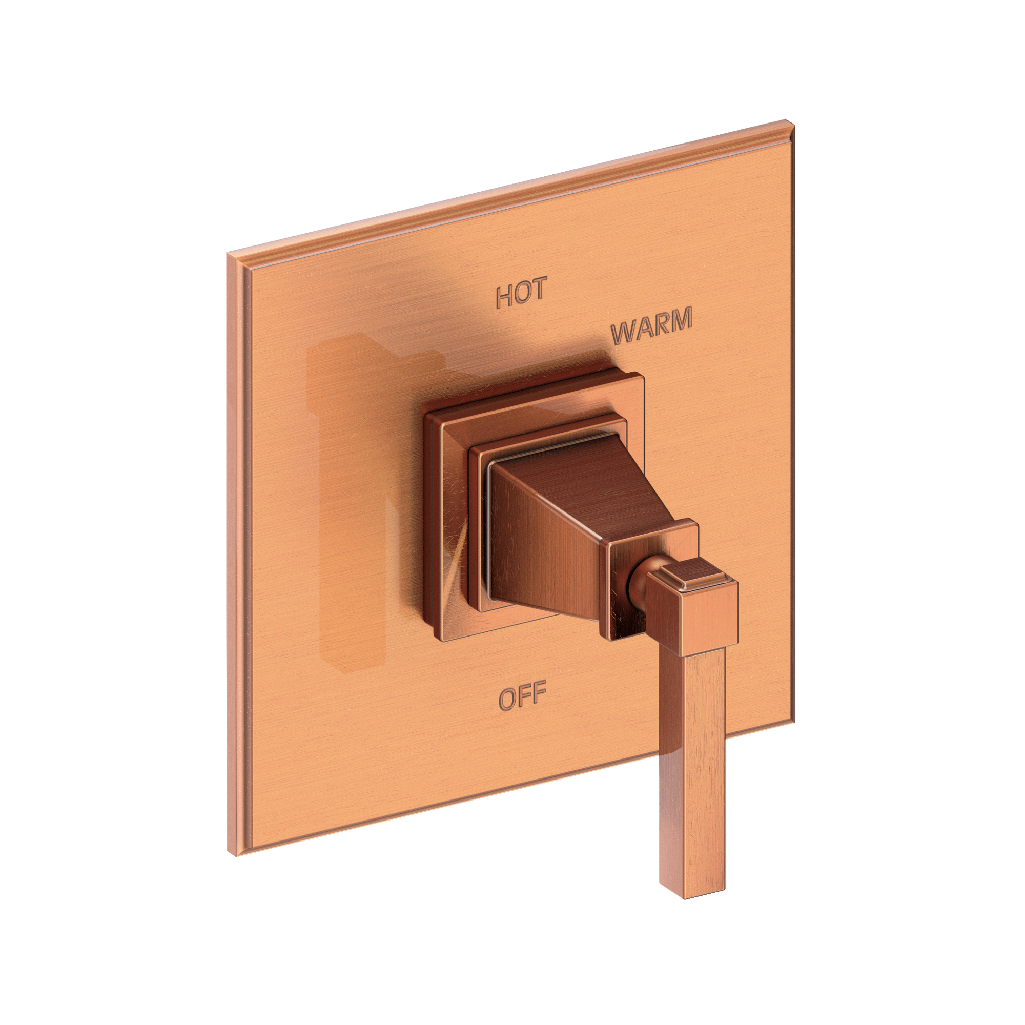 Newport Brass Malvina® Balanced Pressure Shower Trim Plate with Handle
