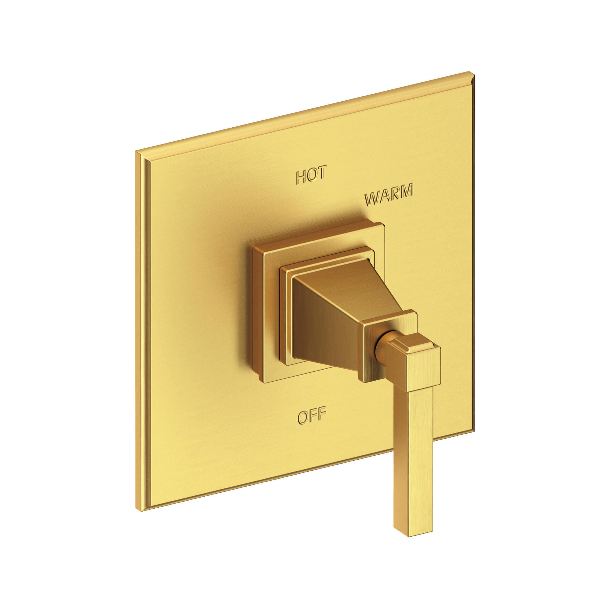 Newport Brass Malvina® Balanced Pressure Shower Trim Plate with Handle