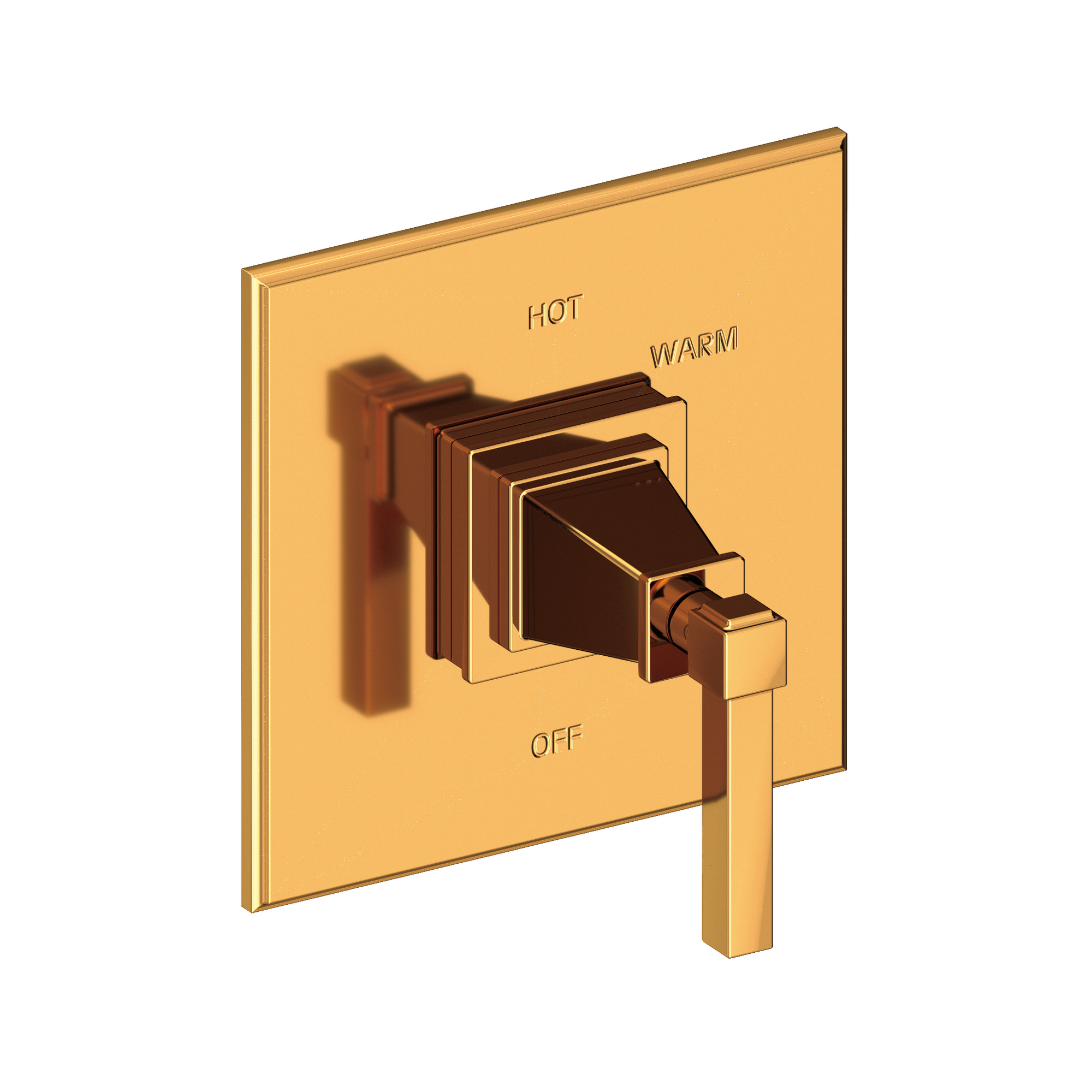 Newport Brass Malvina® Balanced Pressure Shower Trim Plate with Handle