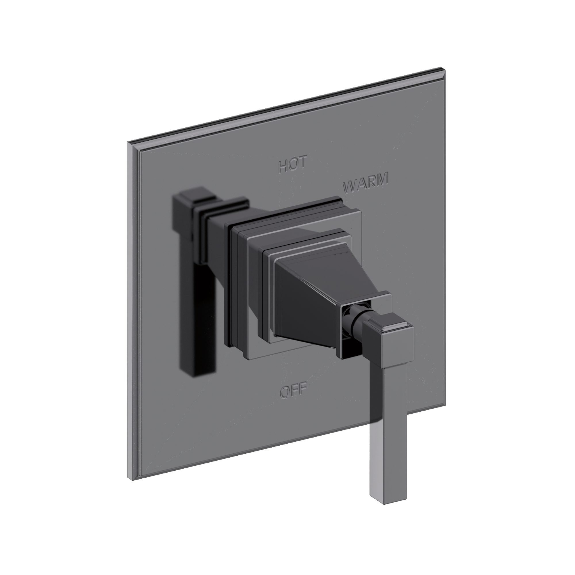 Newport Brass Malvina® Balanced Pressure Shower Trim Plate with Handle