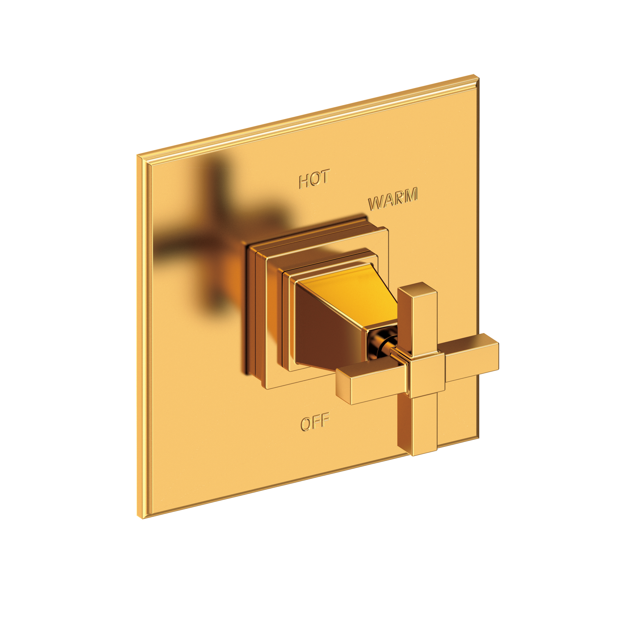 Newport Brass Malvina® Balanced Pressure Shower Trim Plate with Handle