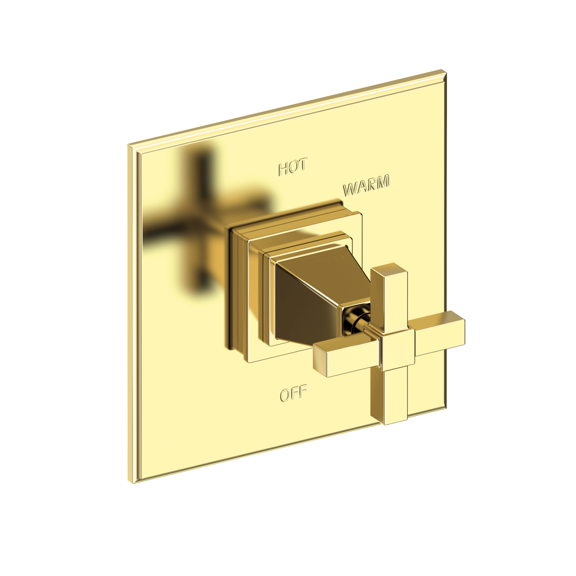Newport Brass Malvina® Balanced Pressure Shower Trim Plate with Handle