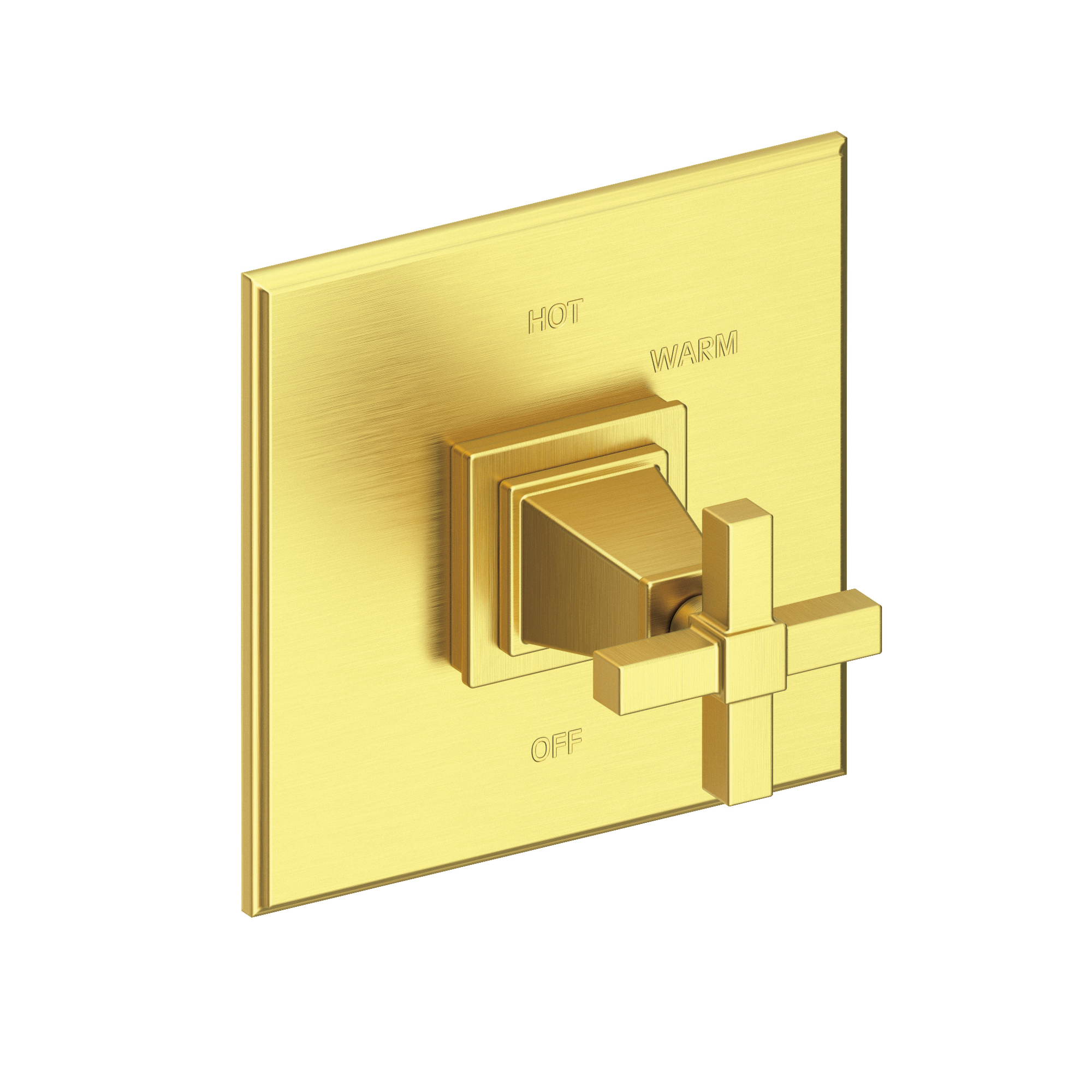 Newport Brass Malvina® Balanced Pressure Shower Trim Plate with Handle