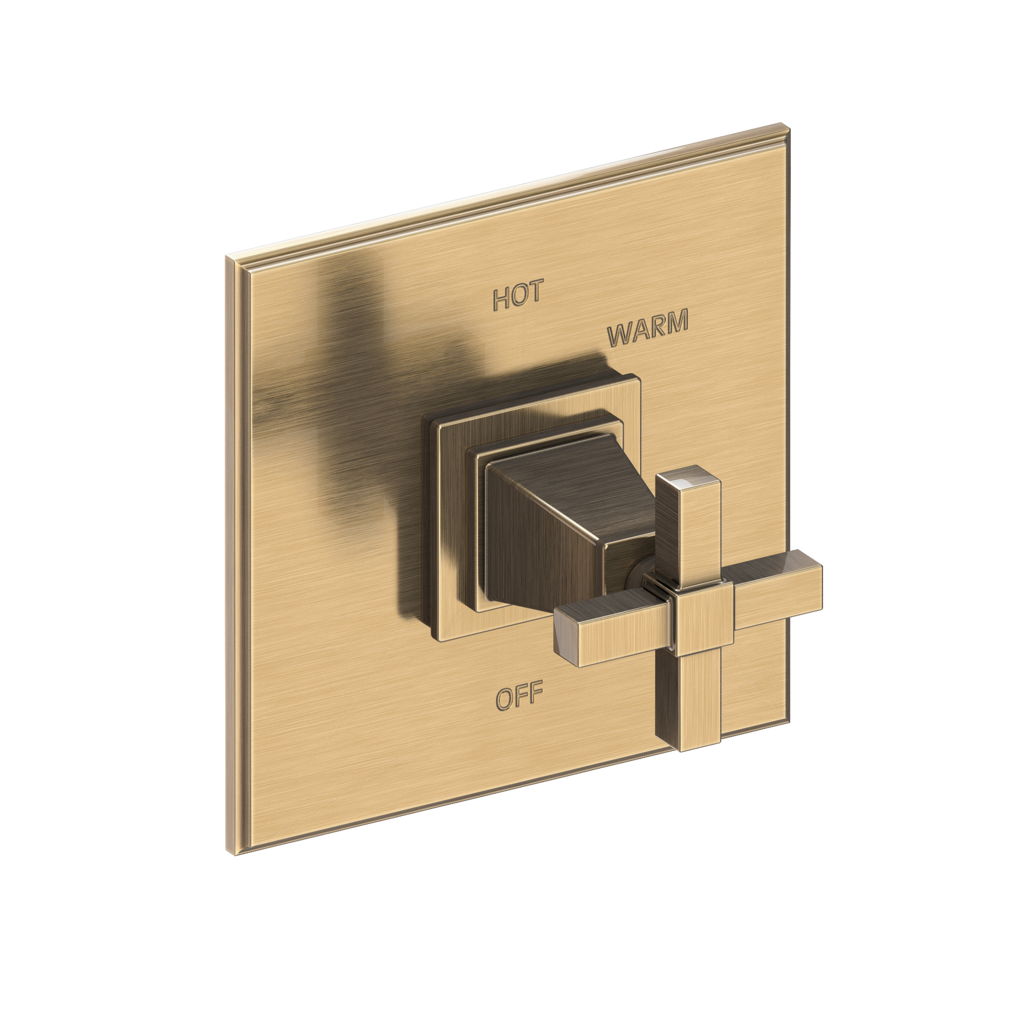 Newport Brass Malvina® Balanced Pressure Shower Trim Plate with Handle