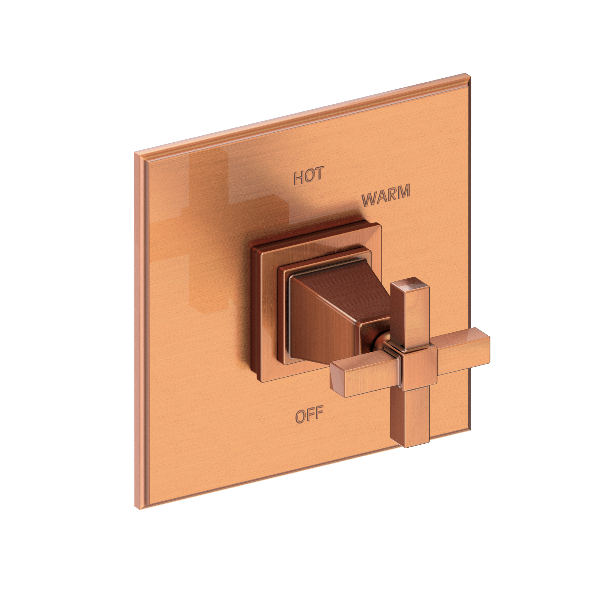 Newport Brass Malvina® Balanced Pressure Shower Trim Plate with Handle