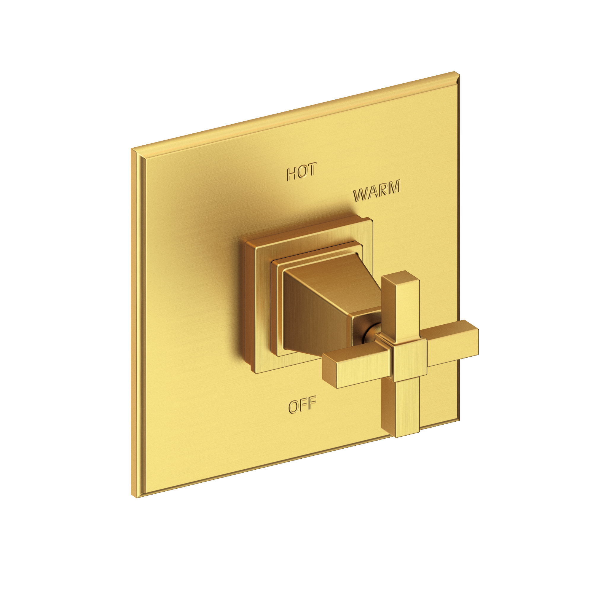 Newport Brass Malvina® Balanced Pressure Shower Trim Plate with Handle