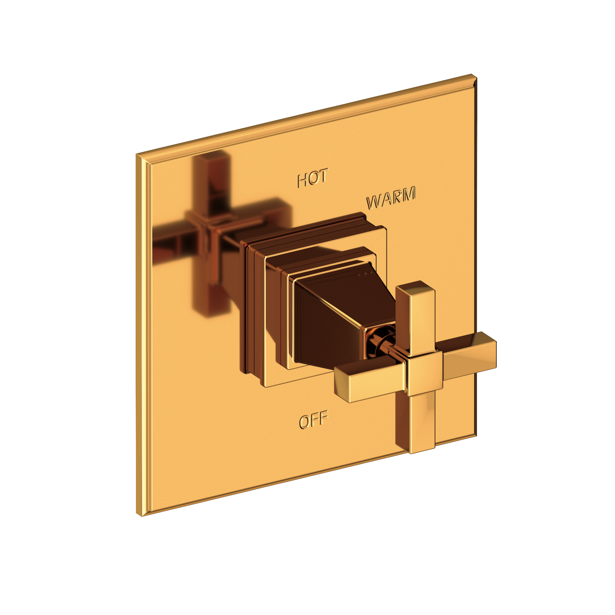 Newport Brass Malvina® Balanced Pressure Shower Trim Plate with Handle