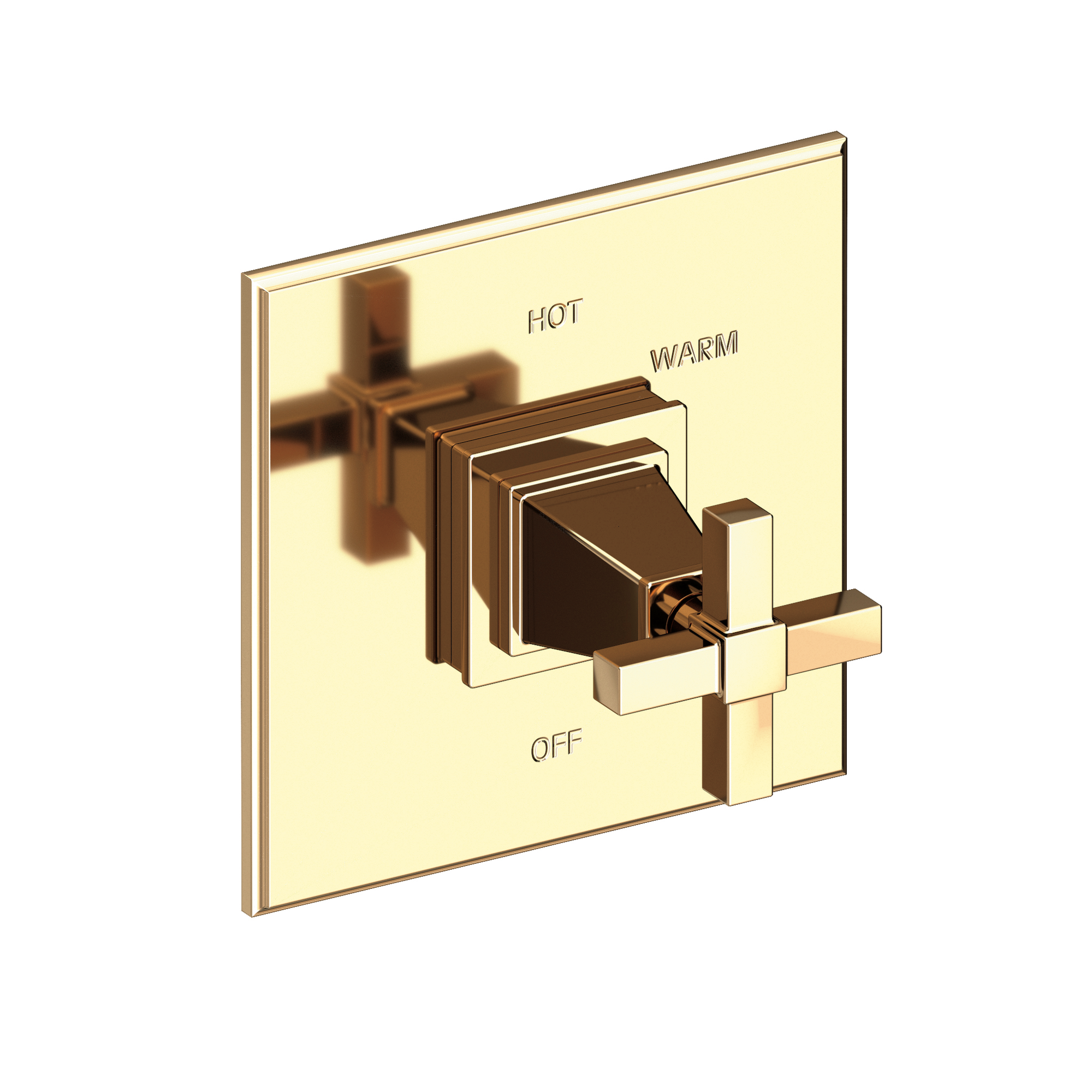 Newport Brass Malvina® Balanced Pressure Shower Trim Plate with Handle