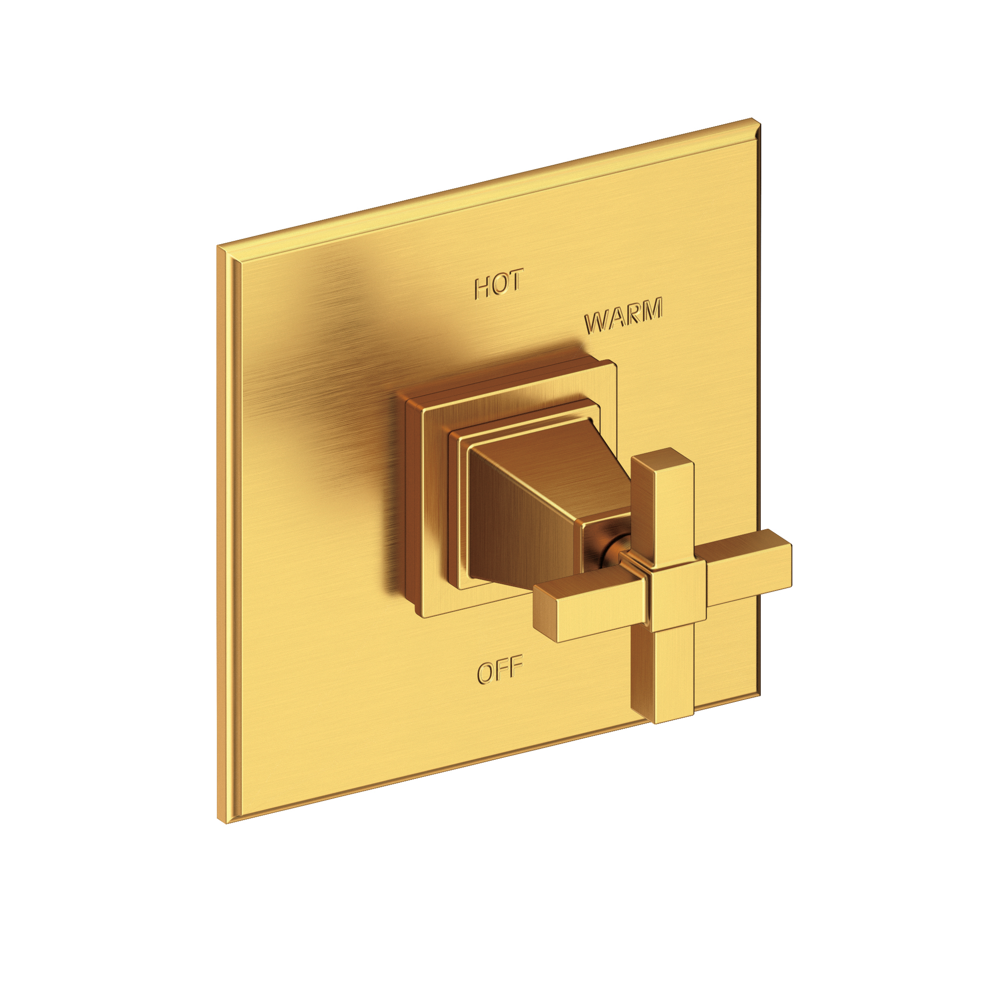 Newport Brass Malvina® Balanced Pressure Shower Trim Plate with Handle