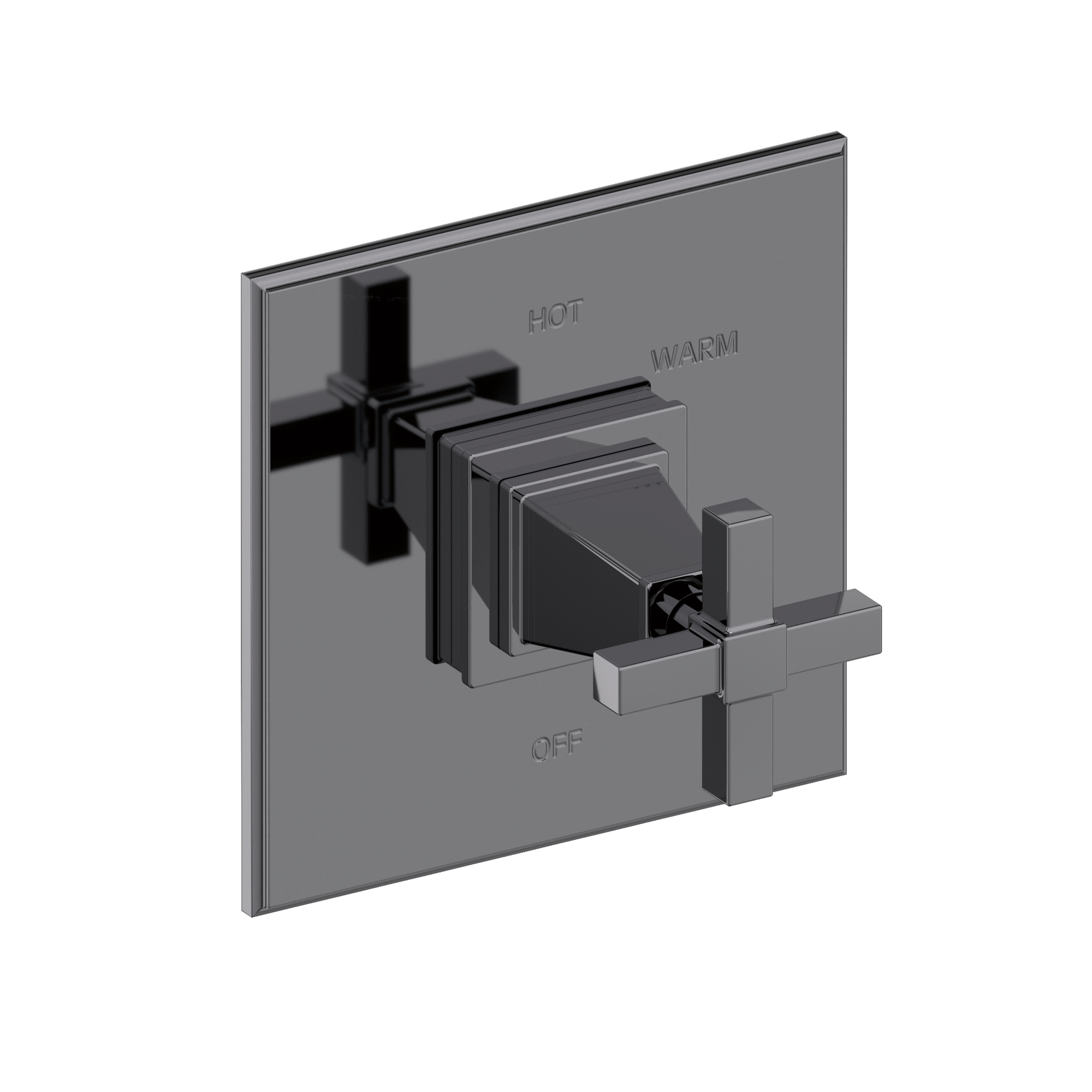 Newport Brass Malvina® Balanced Pressure Shower Trim Plate with Handle
